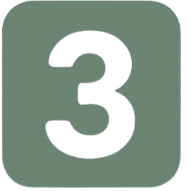 Step 3 icon
