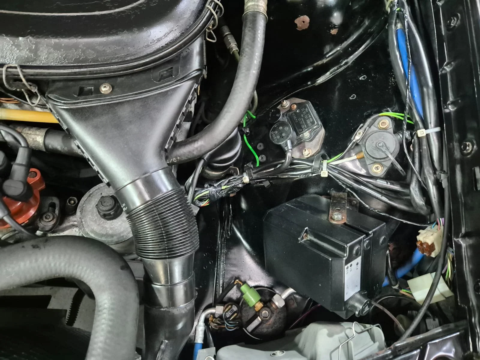 PHOTO-2024-09-17-09-41-29 2 (1).jpg