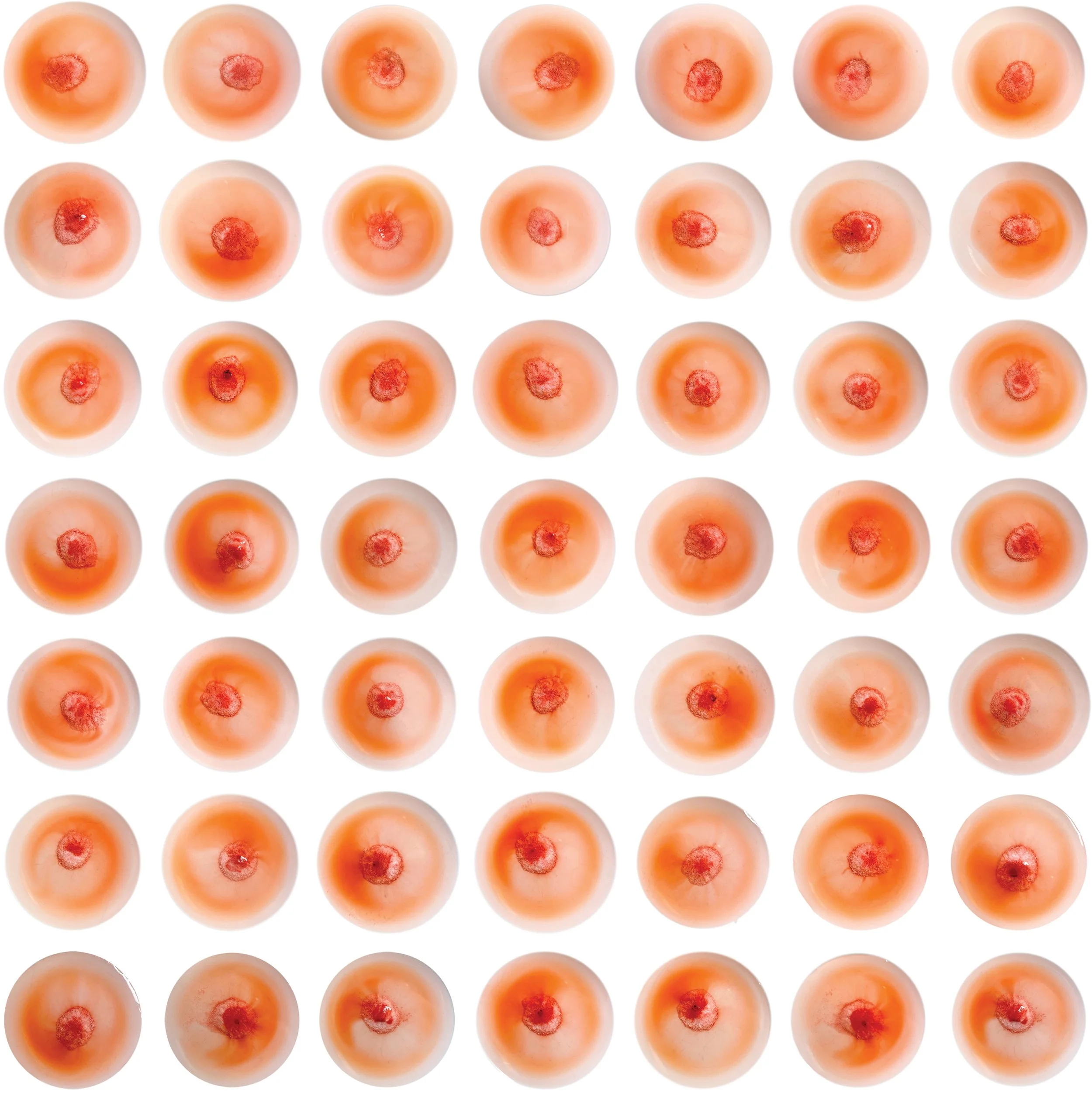 THE AMERICAN PAIN KILLER