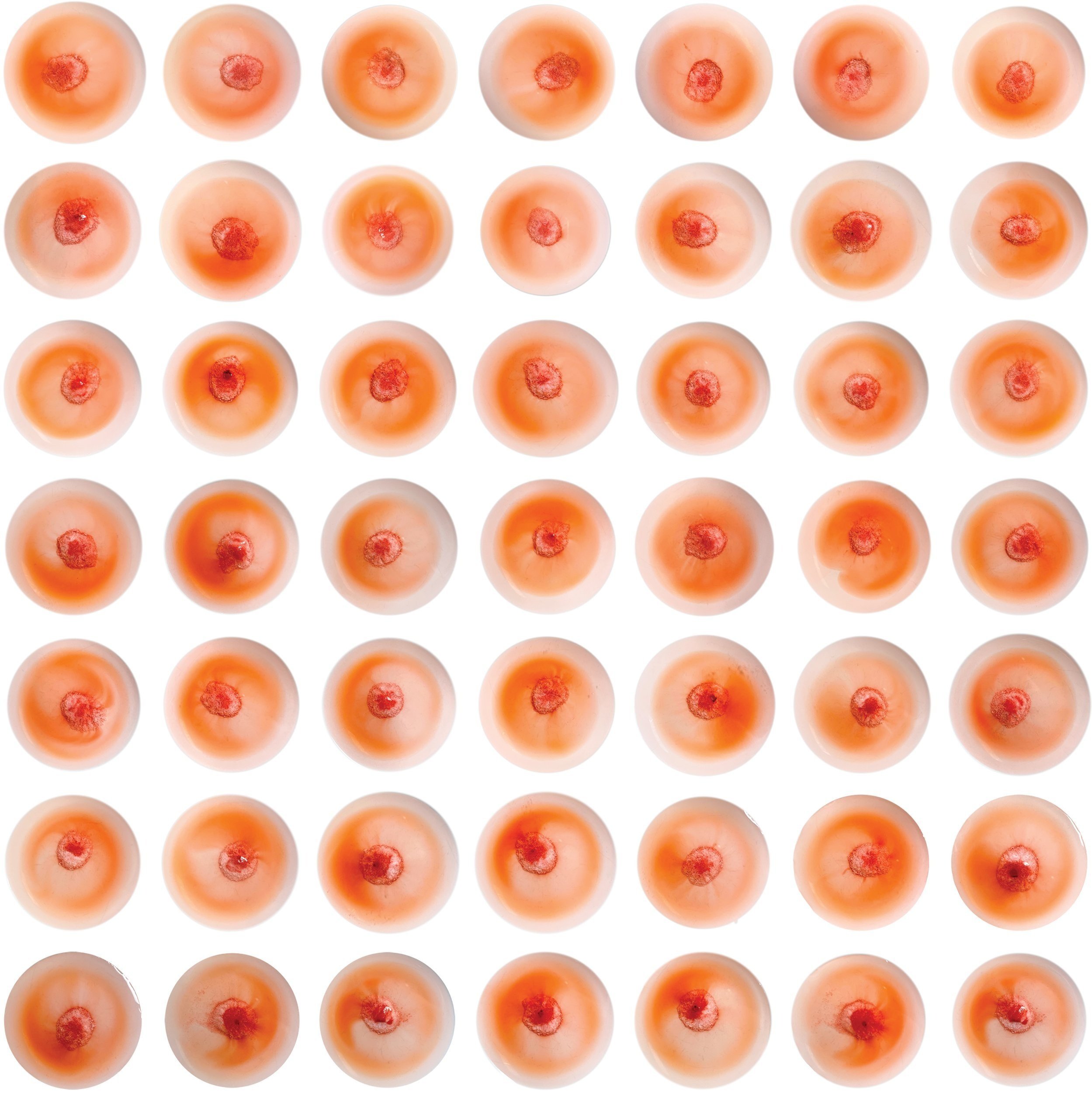 The American Pain Killer, 2022, 50 Pills of Tylenol 500 in water, 24x24 in