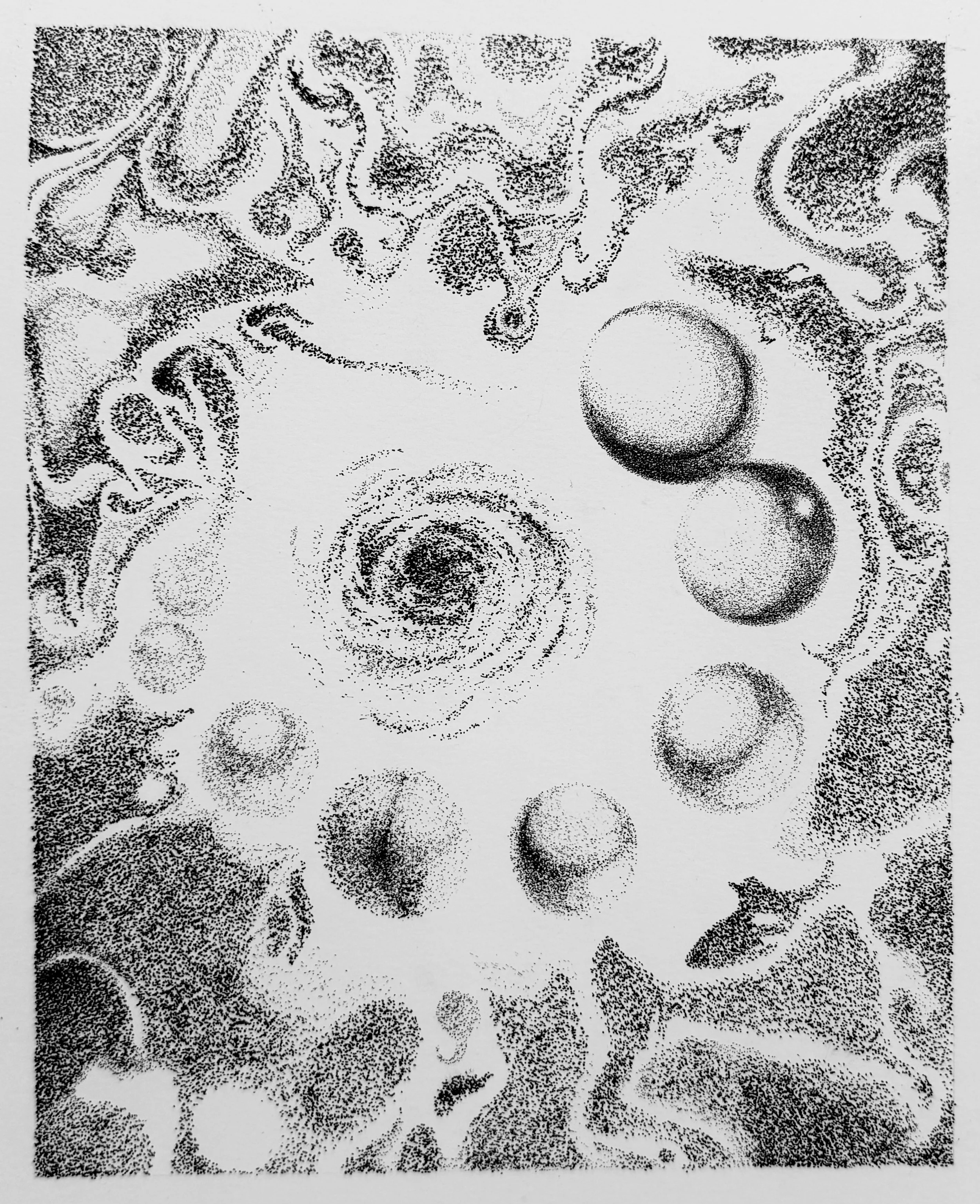 Value Study Created with Ink Pens