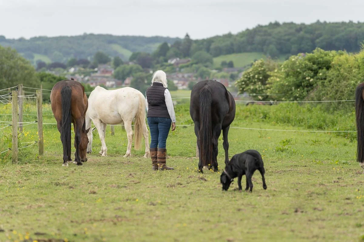 Jude Jennison stands in a field with her horses and black Labrador dog