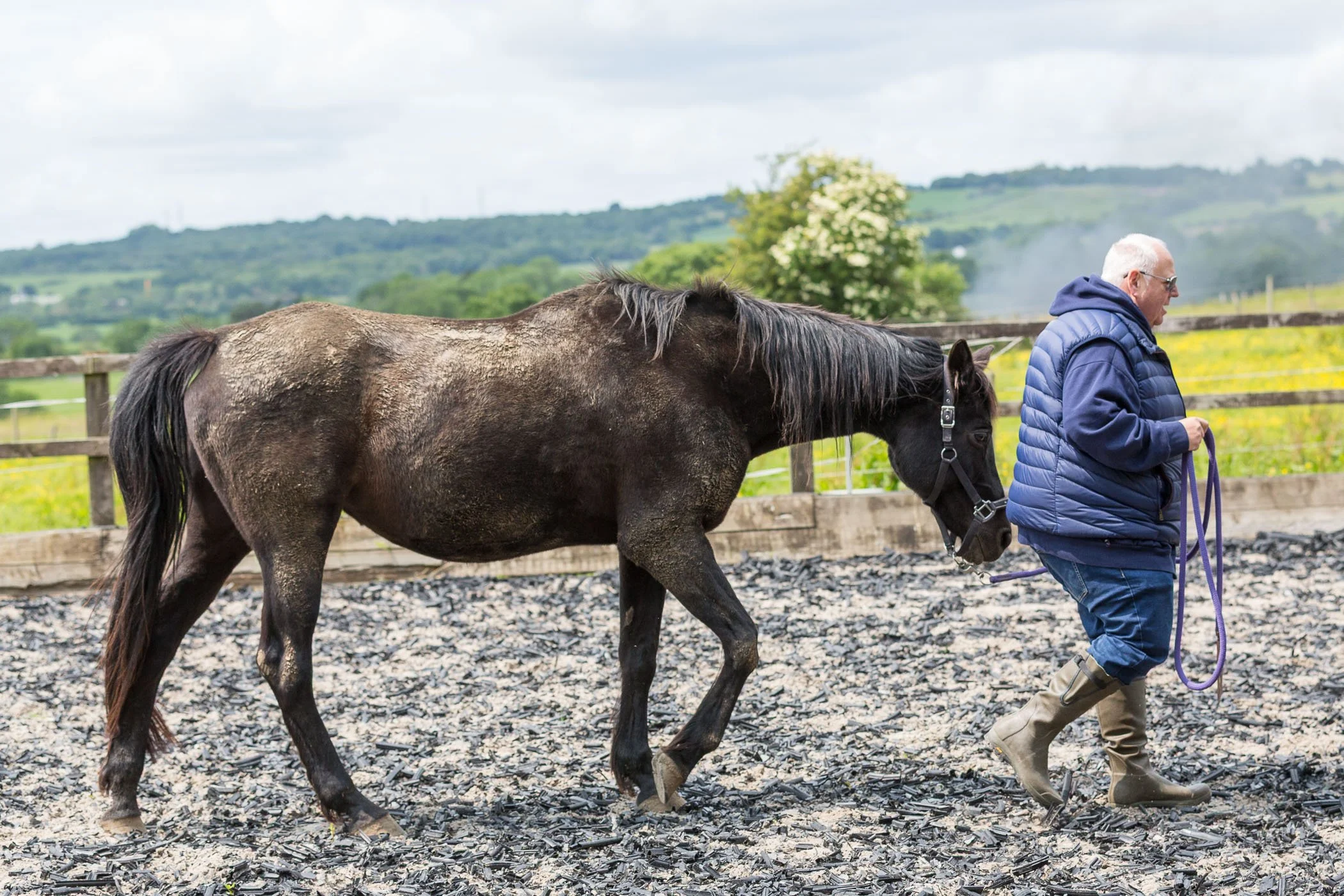 A man leads a horse in an arena with trees and green fields in the background