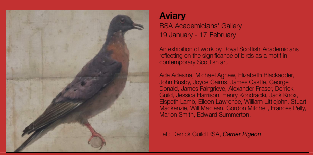 2019 : Aviary - Royal Scottish Academy