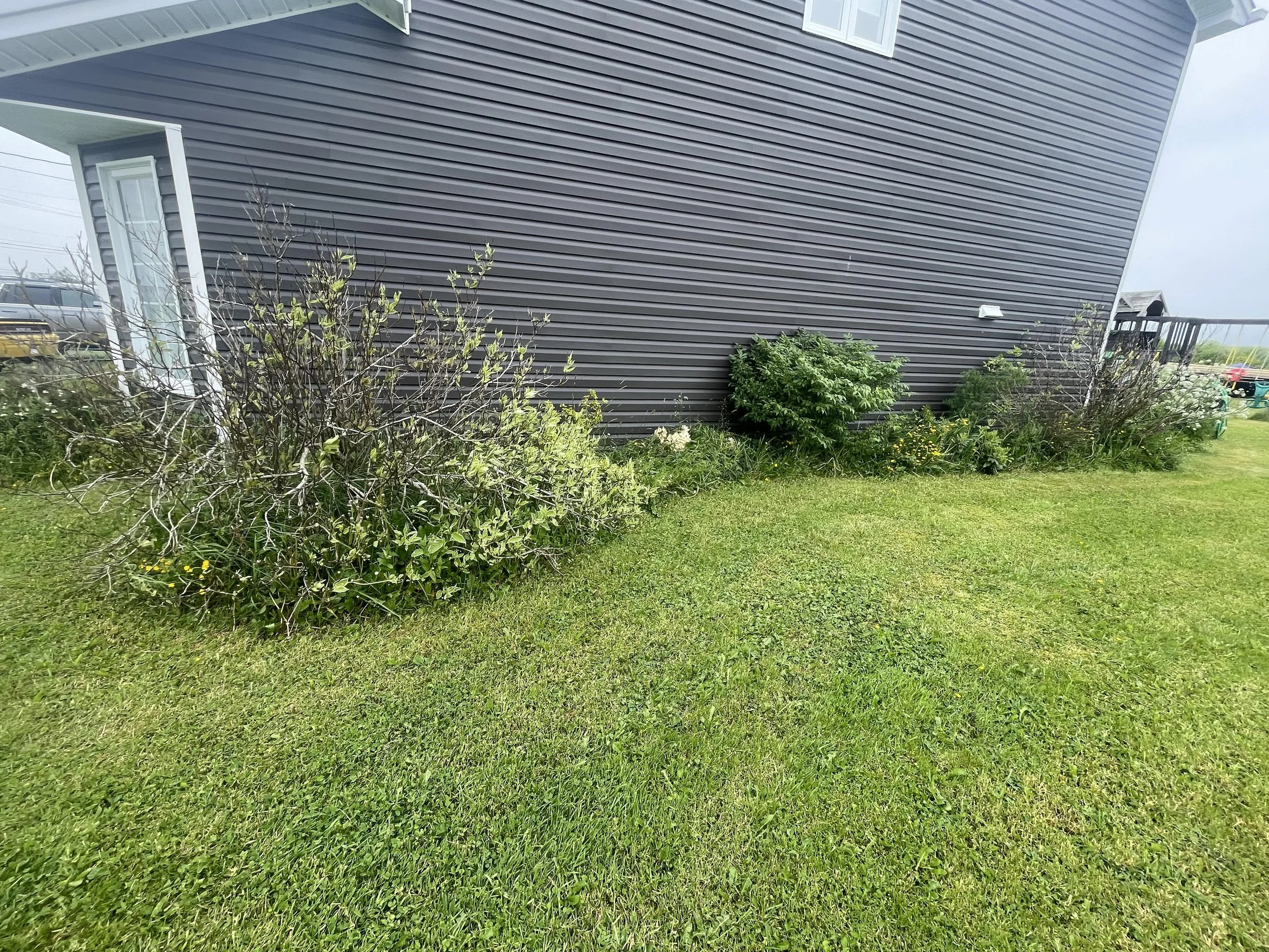 Gardening Before 5.jpg