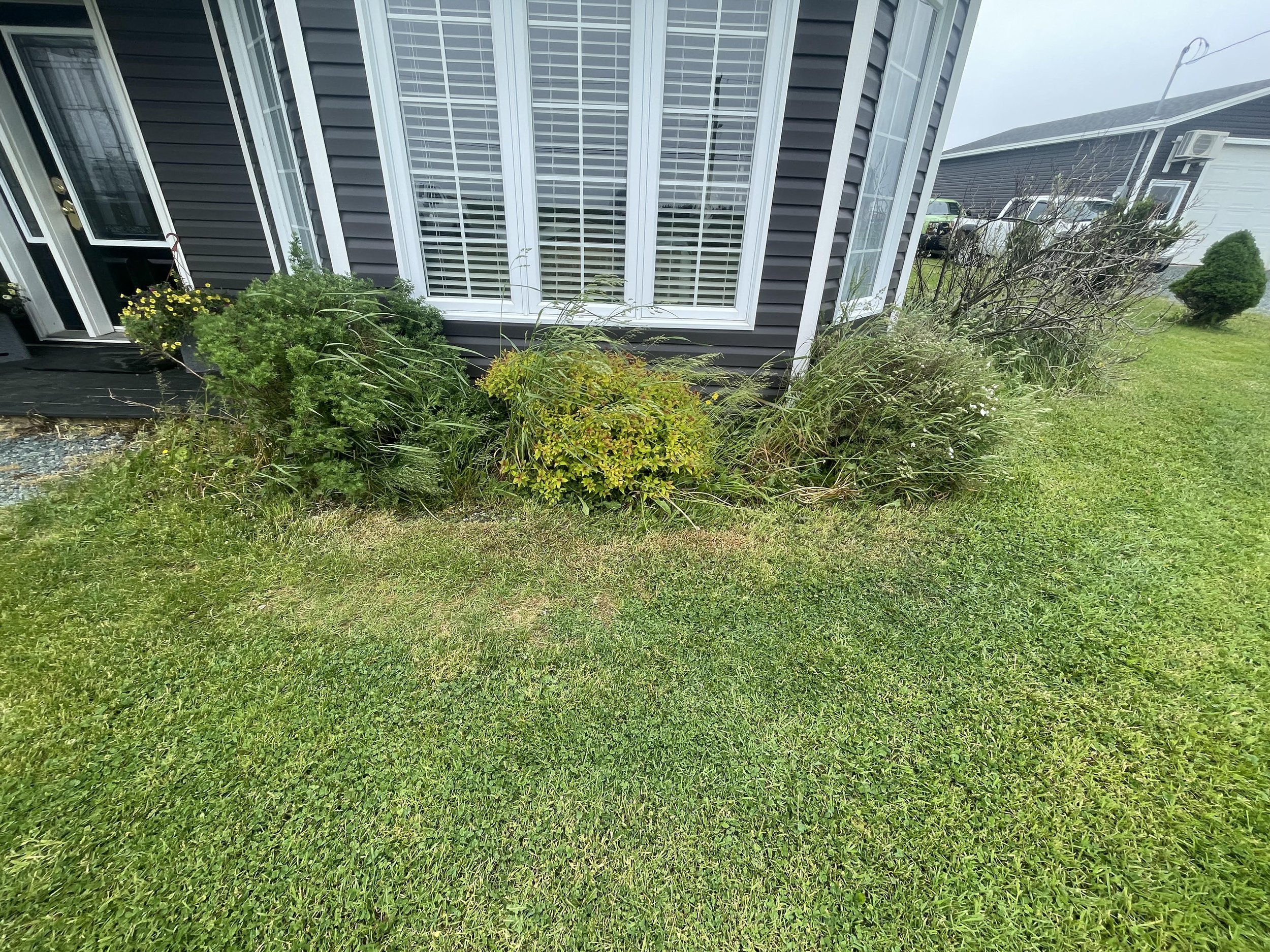 Gardening Before 4.jpg