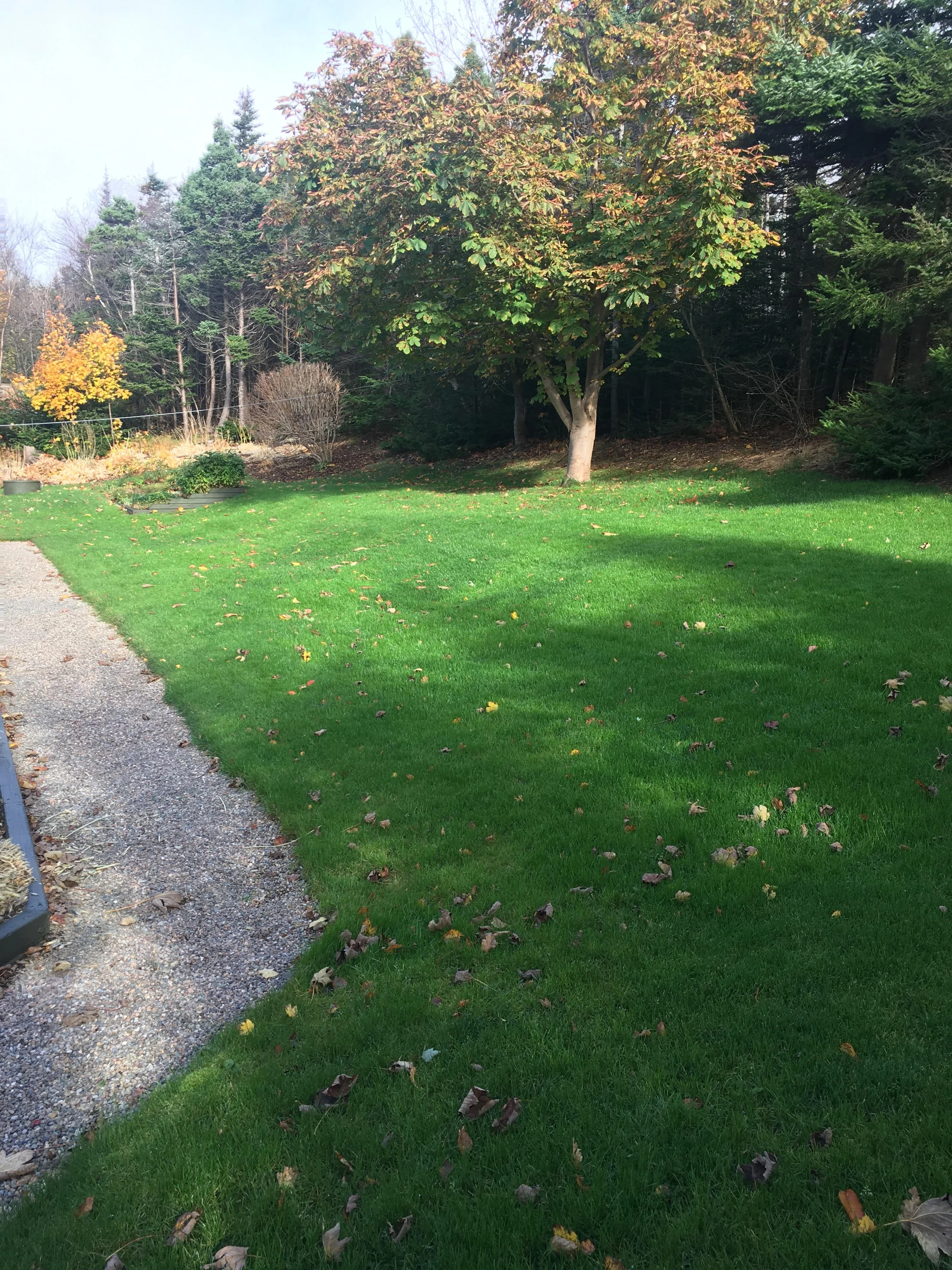 Fall Cleanup.jpg