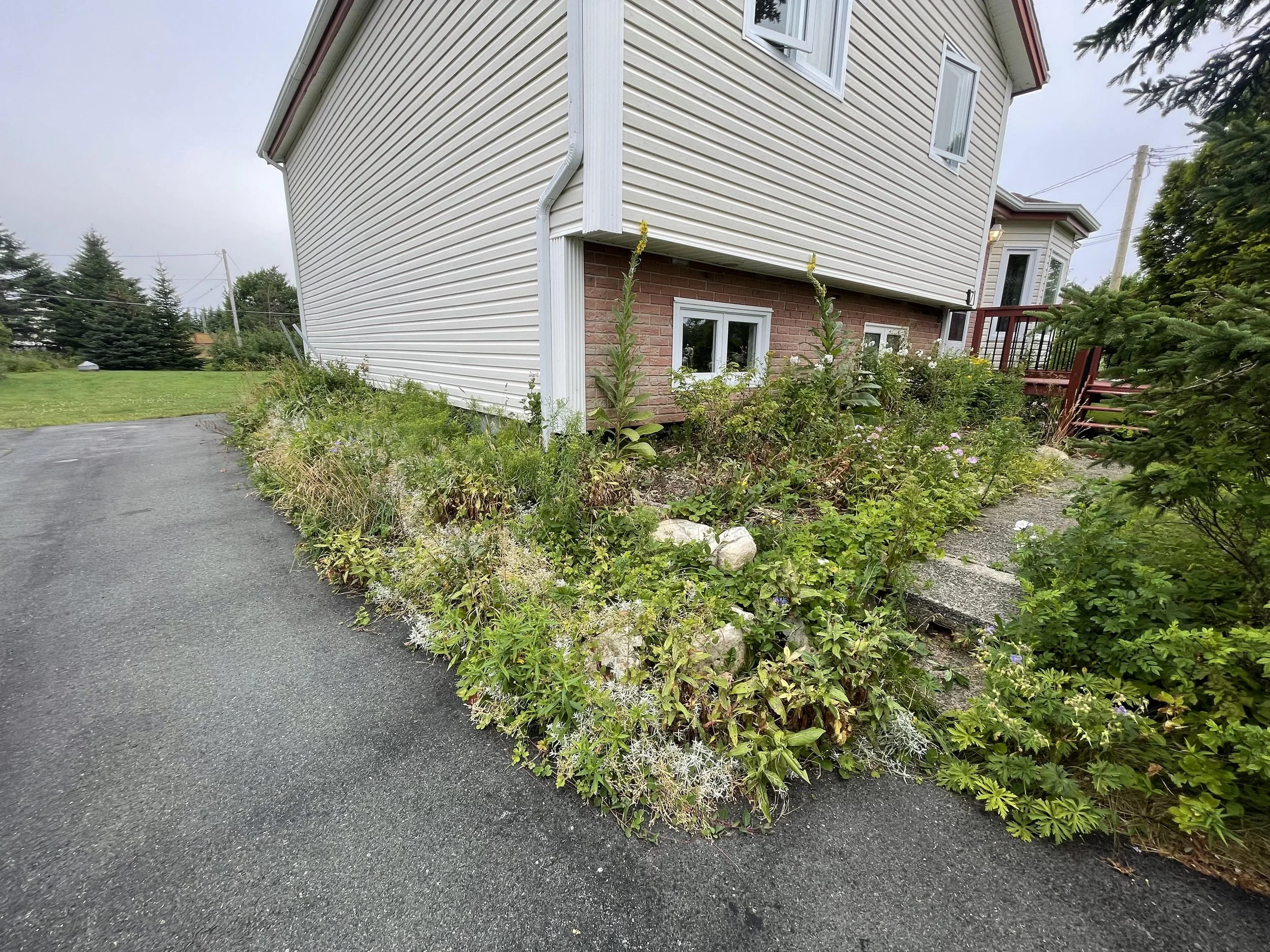 Garden care 1.jpg