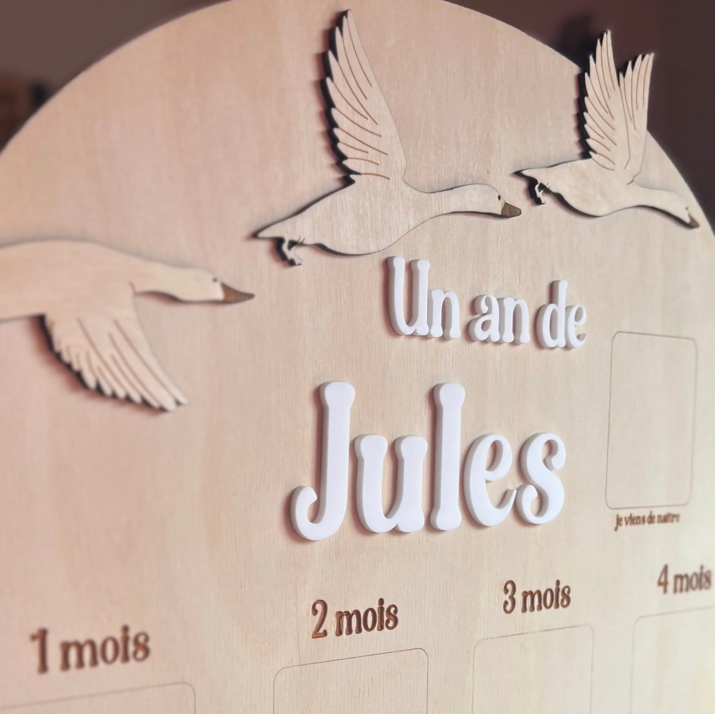 IMG_2558-EDIT (1).jpg