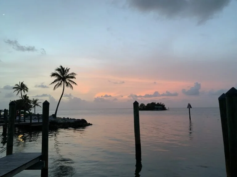 Seabase 2023 IMG_3250-2-768x576.jpg