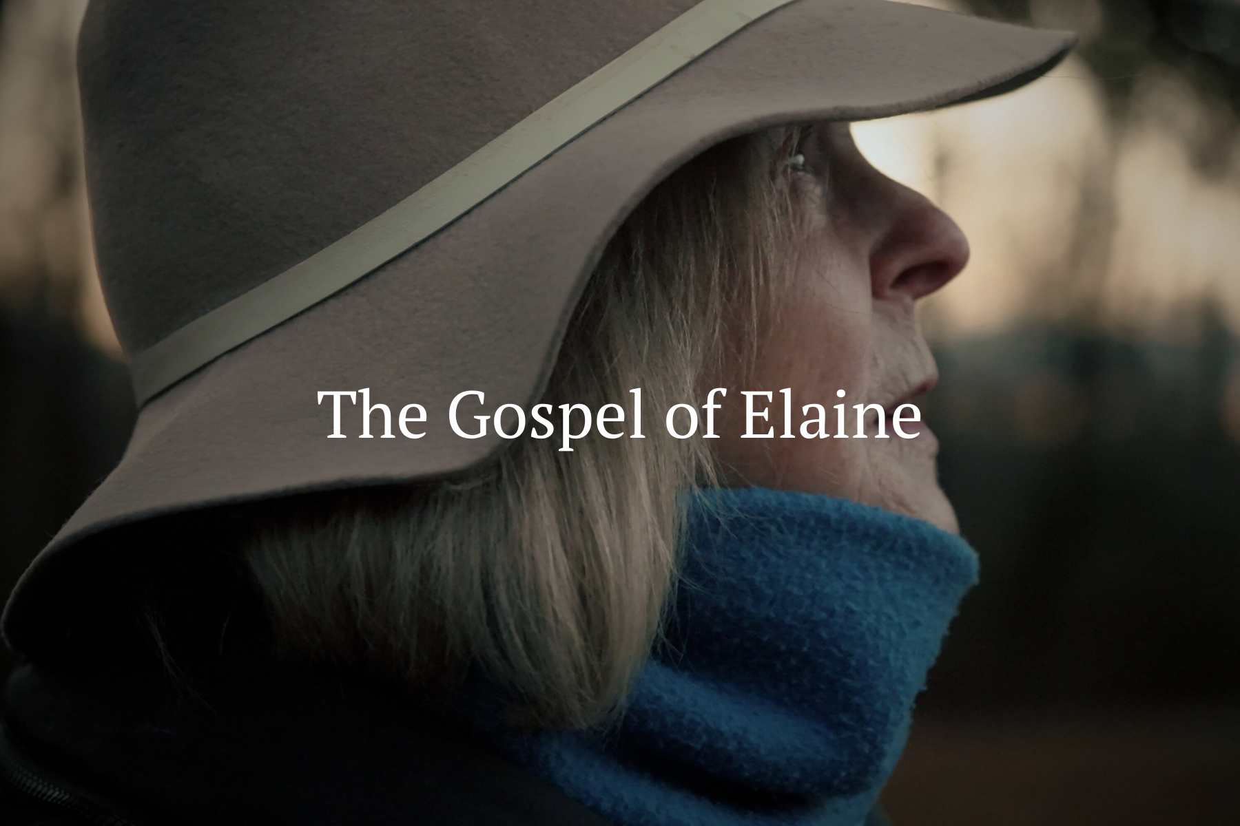 The Gospel of Elaine (In Production)