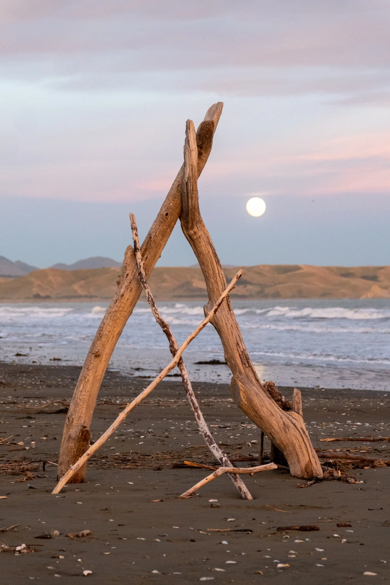 A teepee made of driftwood on a beach at sunset with a full moon in the sky and distant hills in the background.