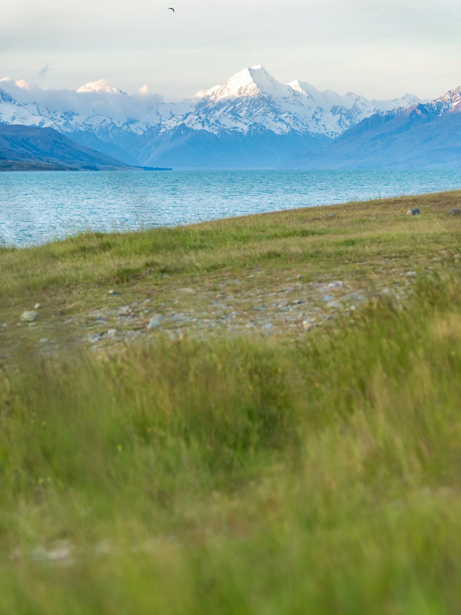 Snow-capped mountains across a lake with grassy foreground and a blue sky.