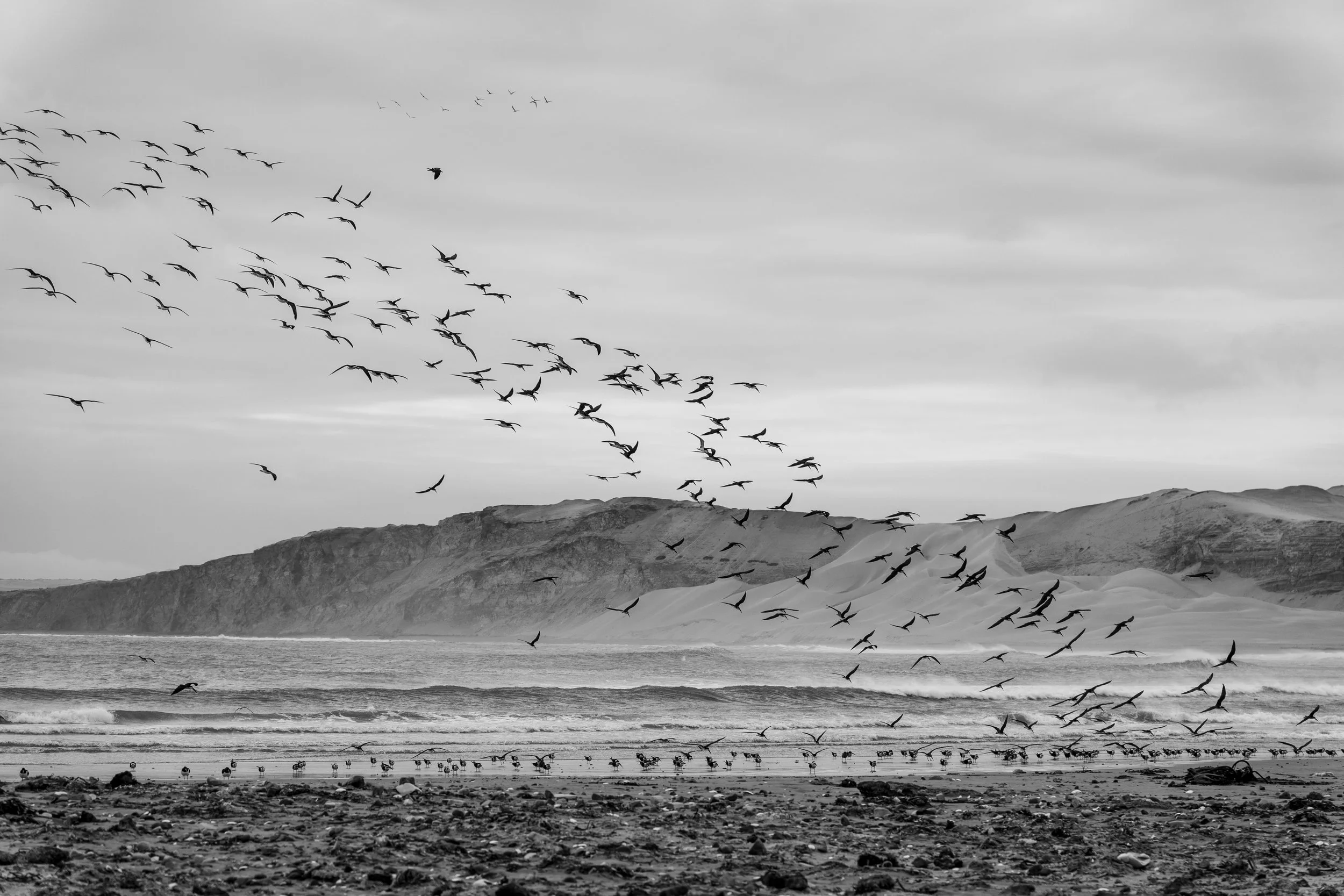 _DSC0425.jpg