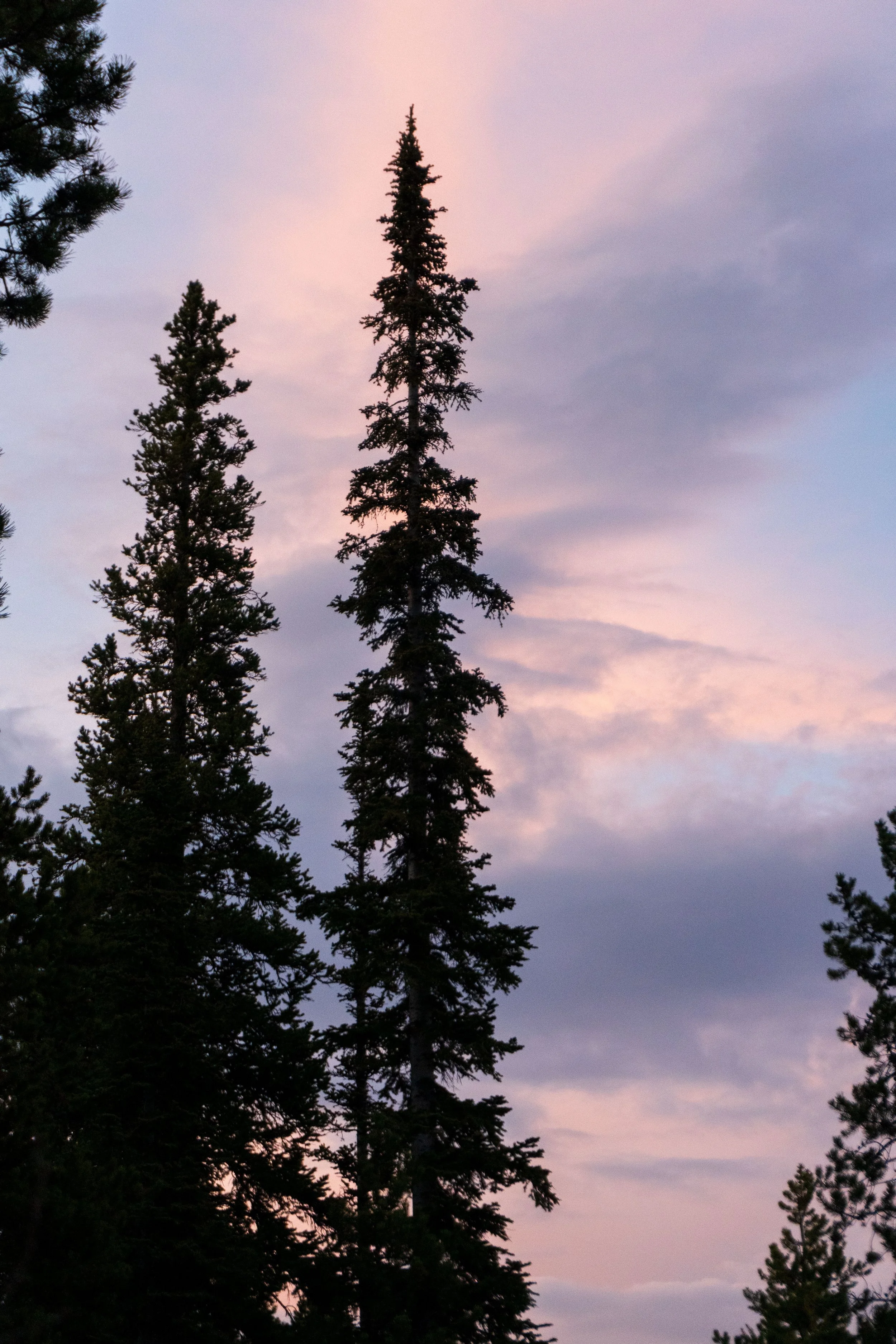 IMG_8325.jpg