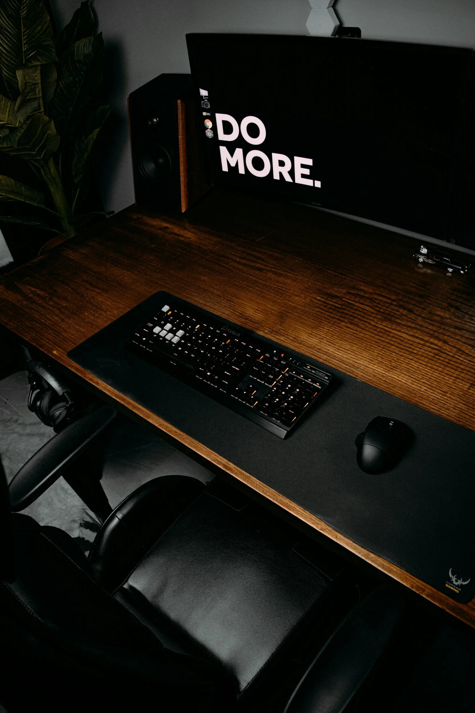 Desk with a computer keyboard, mouse, and monitor displaying the message 'DO MORE' in large white text, with a speaker on the left, and a potted plant on the left side.