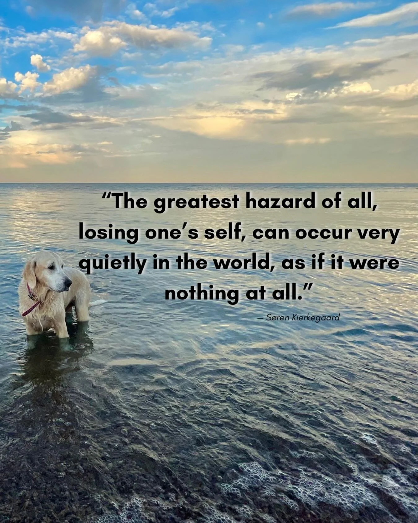 In a noisy world, one of the greatest risks is forgetting who we are.

So much of our attention is drawn toward difficult news and endless doom-scrolling. The events are real, and they matter.

And yet, Kierkegaard reminds us of another danger: the s