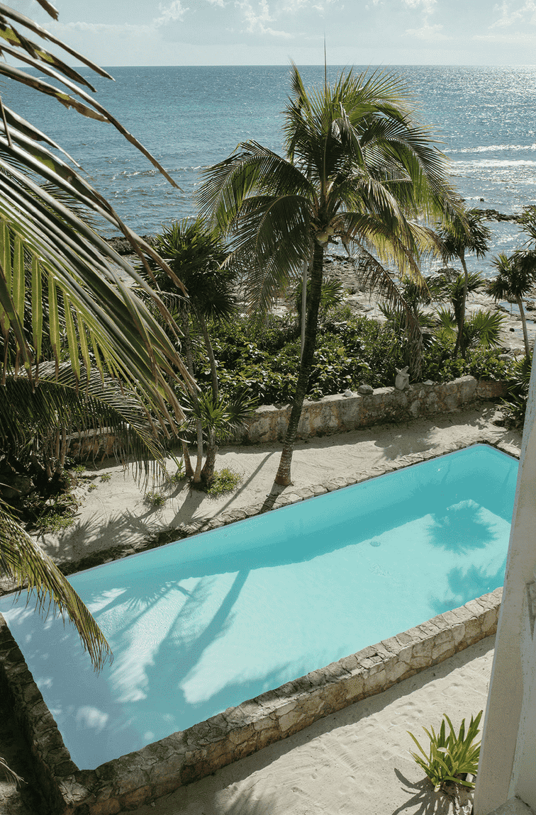 A tropical beach view with palm trees, a rocky beach, and the ocean in the background, along with a small rectangular pool in the foreground.