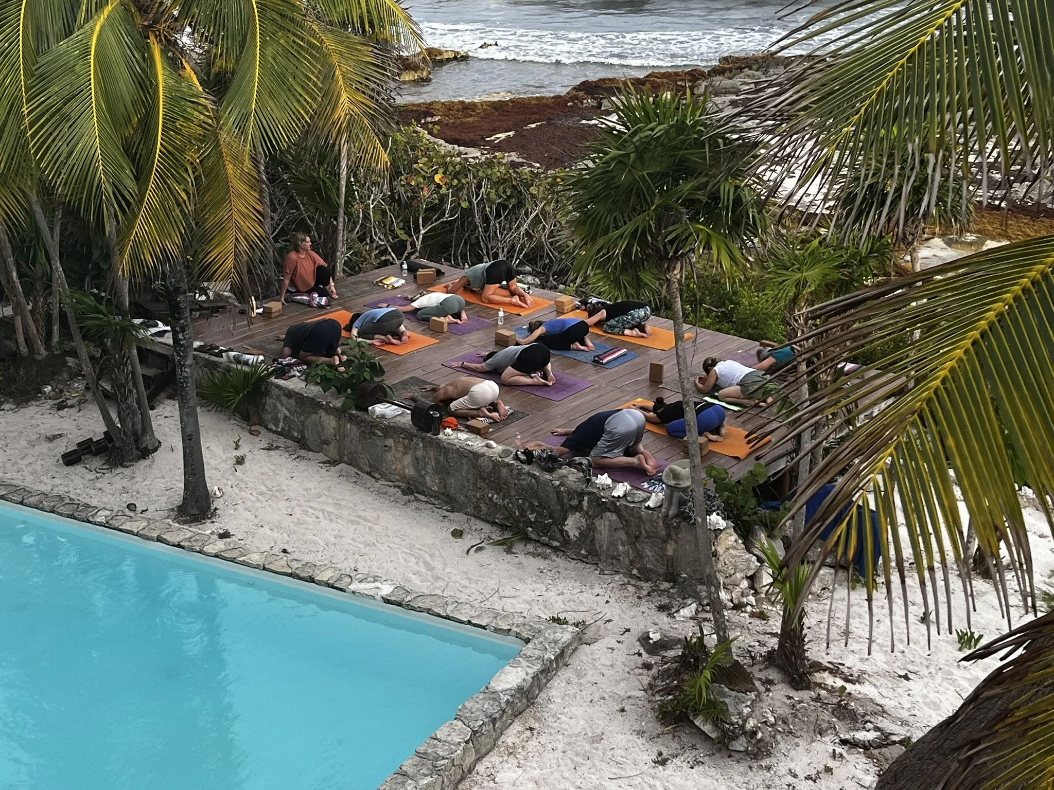 People practicing yoga on a wooden deck surrounded by tropical trees with the ocean in the background.
