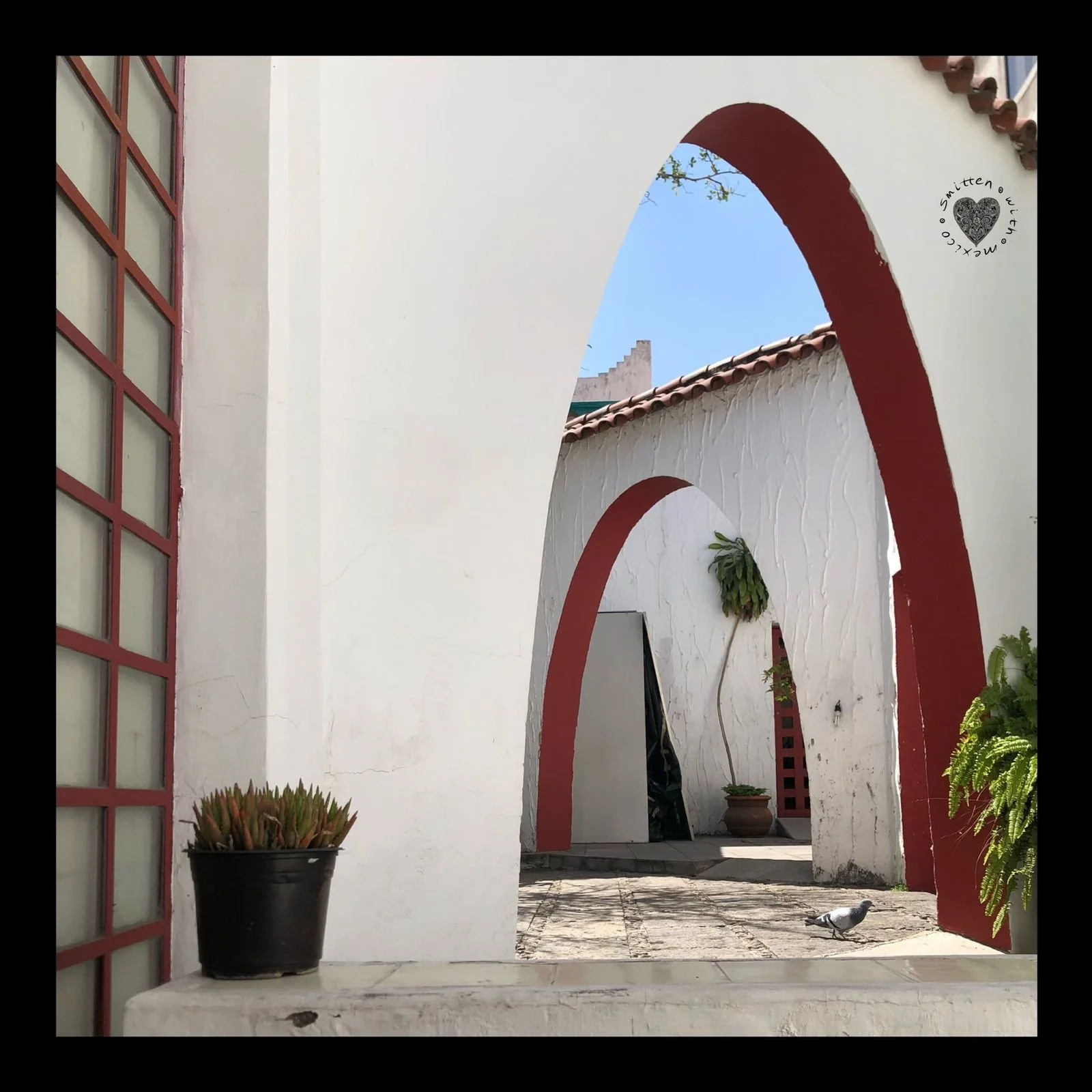 Bethany 2024-12-03 at 1.44.35 PM.jpeg