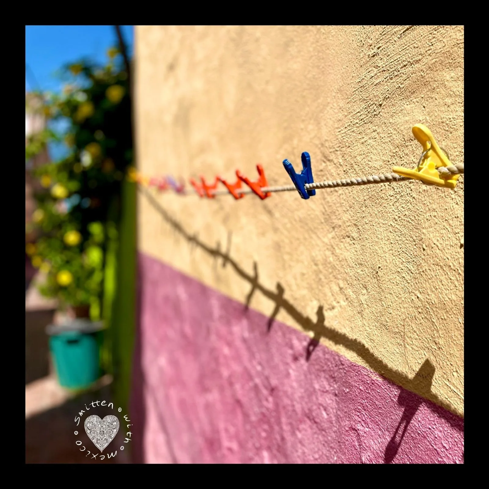 Bethany 2024-12-03 at 12.28.59 PM.jpeg