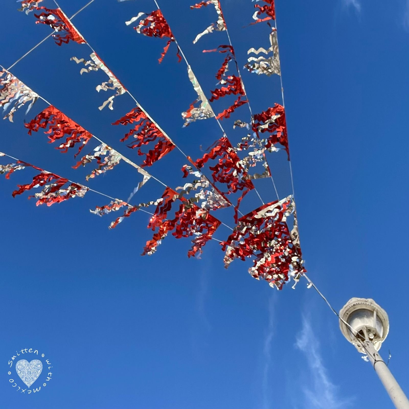 Bethany 2024-12-03 at 12.28.58 PM (4).jpeg