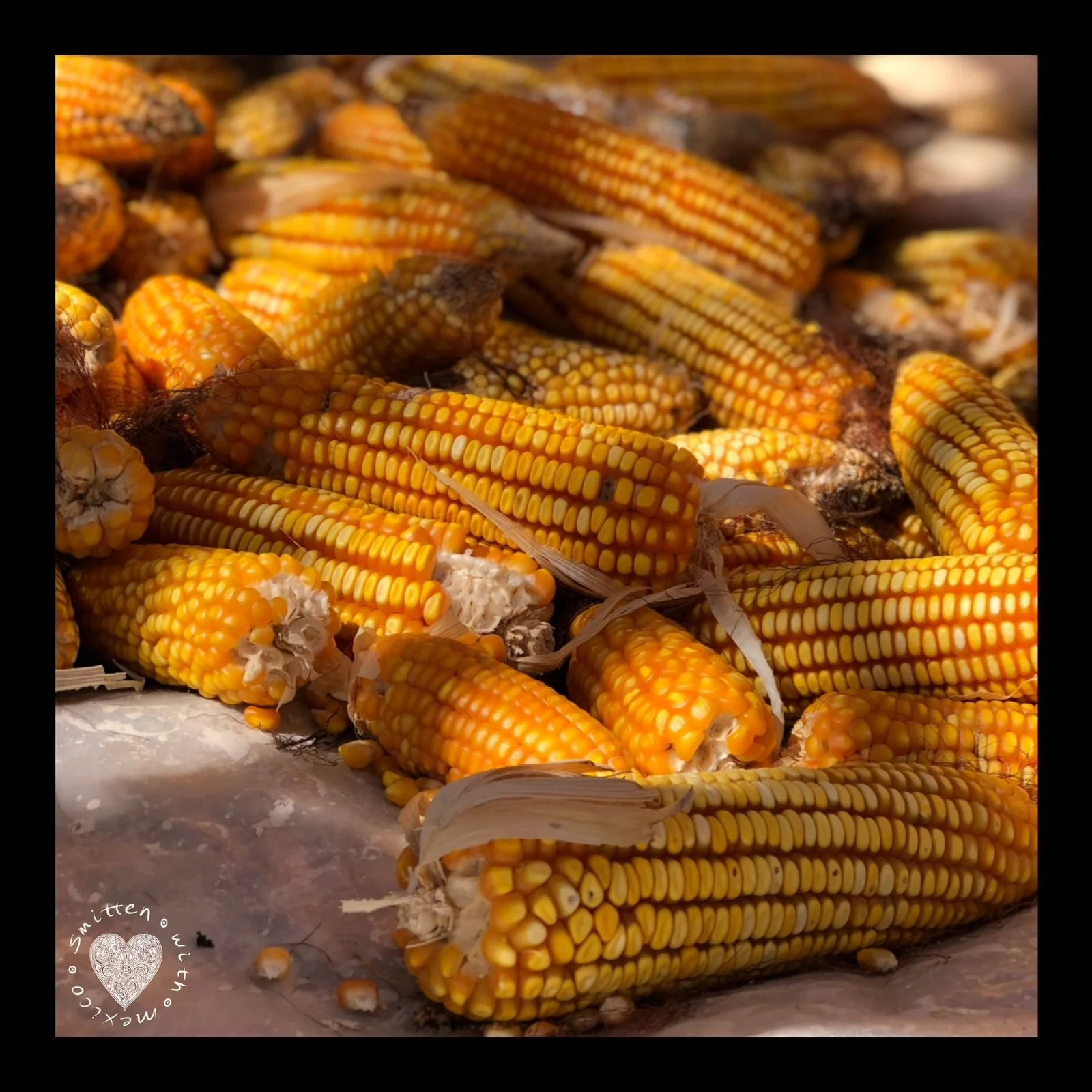 Bethany 2024-12-03 at 12.28.58 PM (3).jpeg