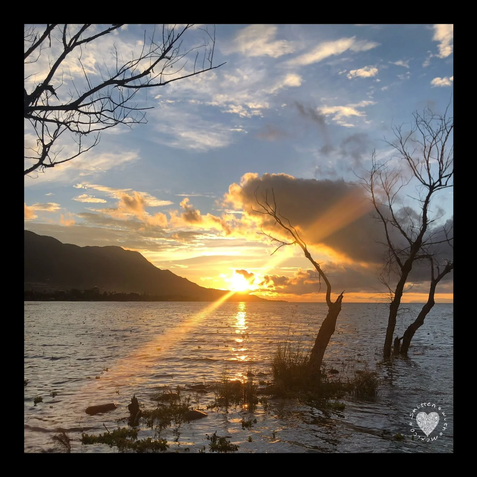 Bethany 2024-12-03 at 12.28.57 PM (4).jpeg