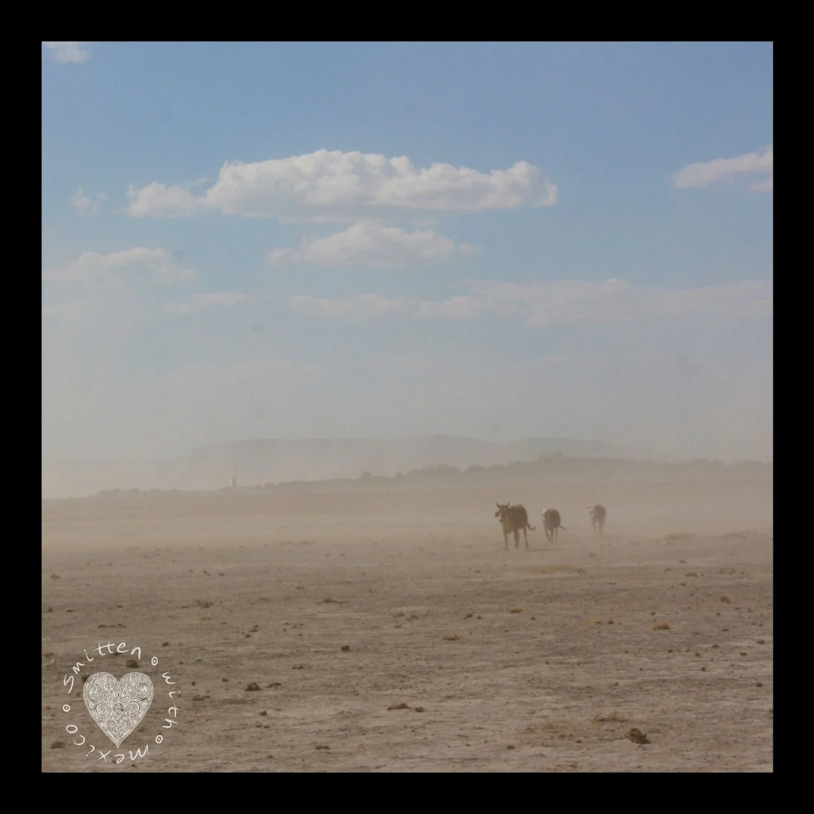 Bethany 2024-12-03 at 12.28.57 PM (2).jpeg