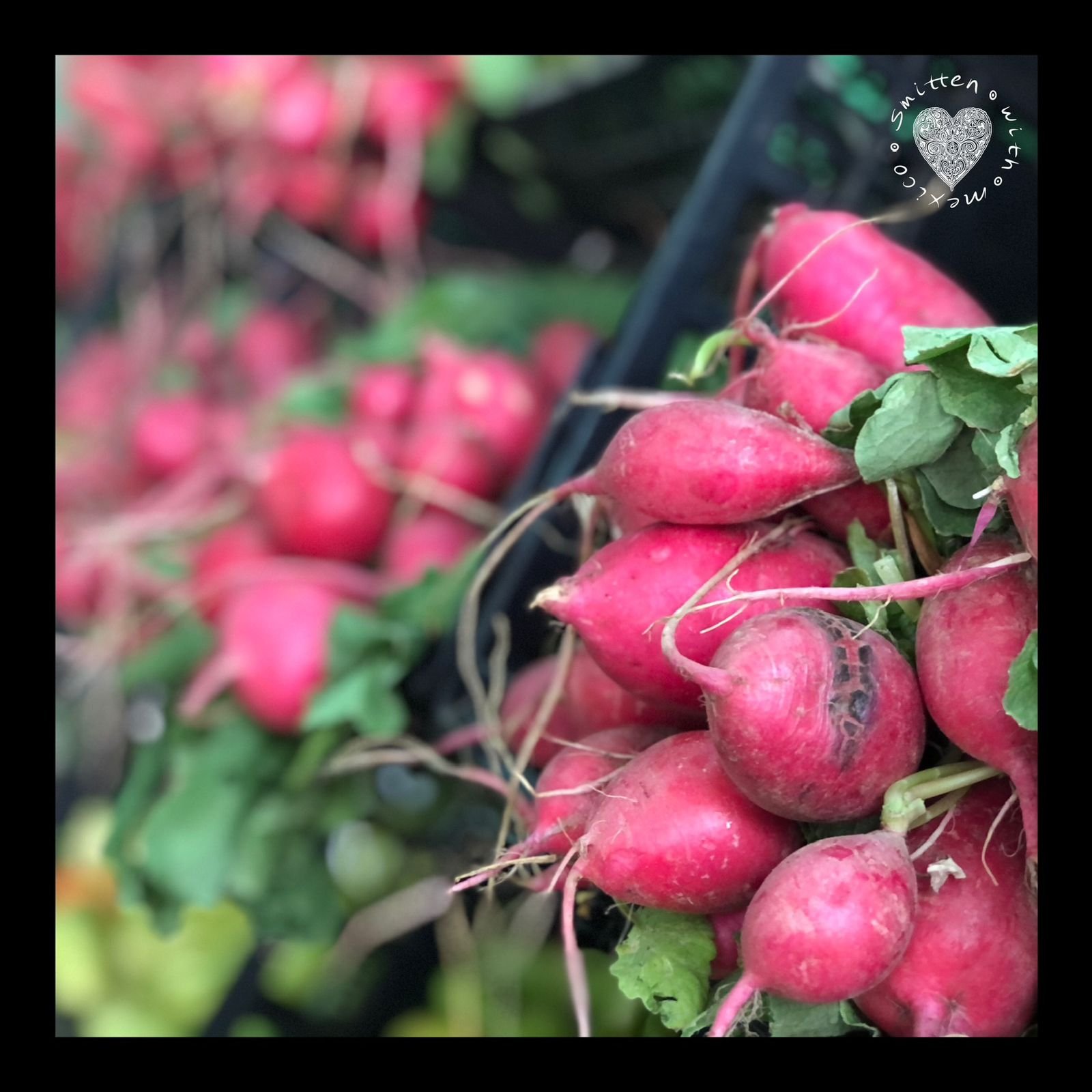 Bethany 2024-12-03 at 12.28.56 PM (4).jpeg