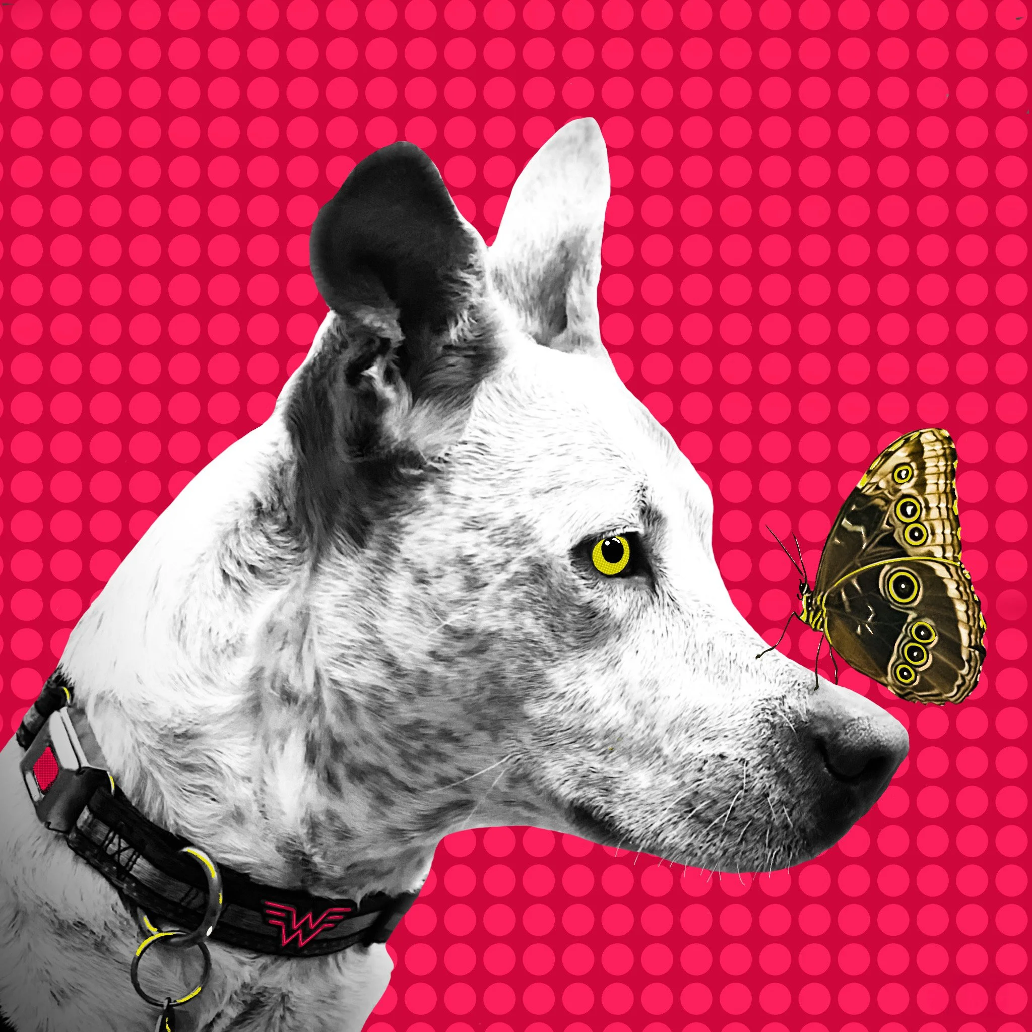 Sharon E. Smith_B7843DA2-441A-4692-BD62-04EB5E04E63B.jpeg