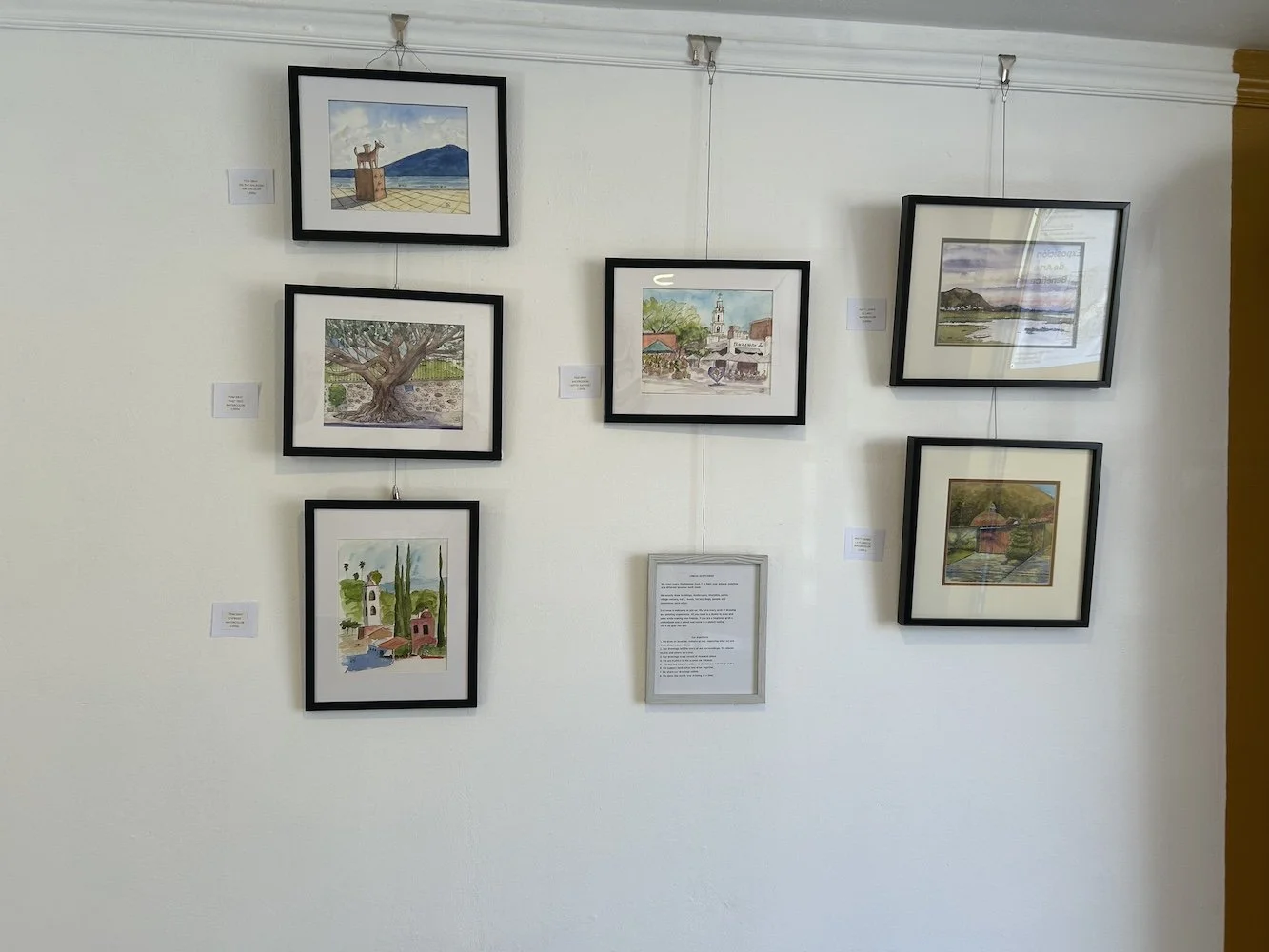 PETER SHANDERA_IMG_0541.jpeg