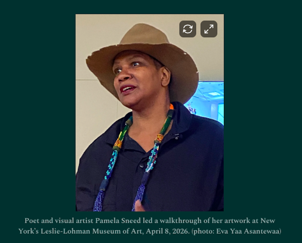 Pamela Sneed_Leslie Lohman Theater.png