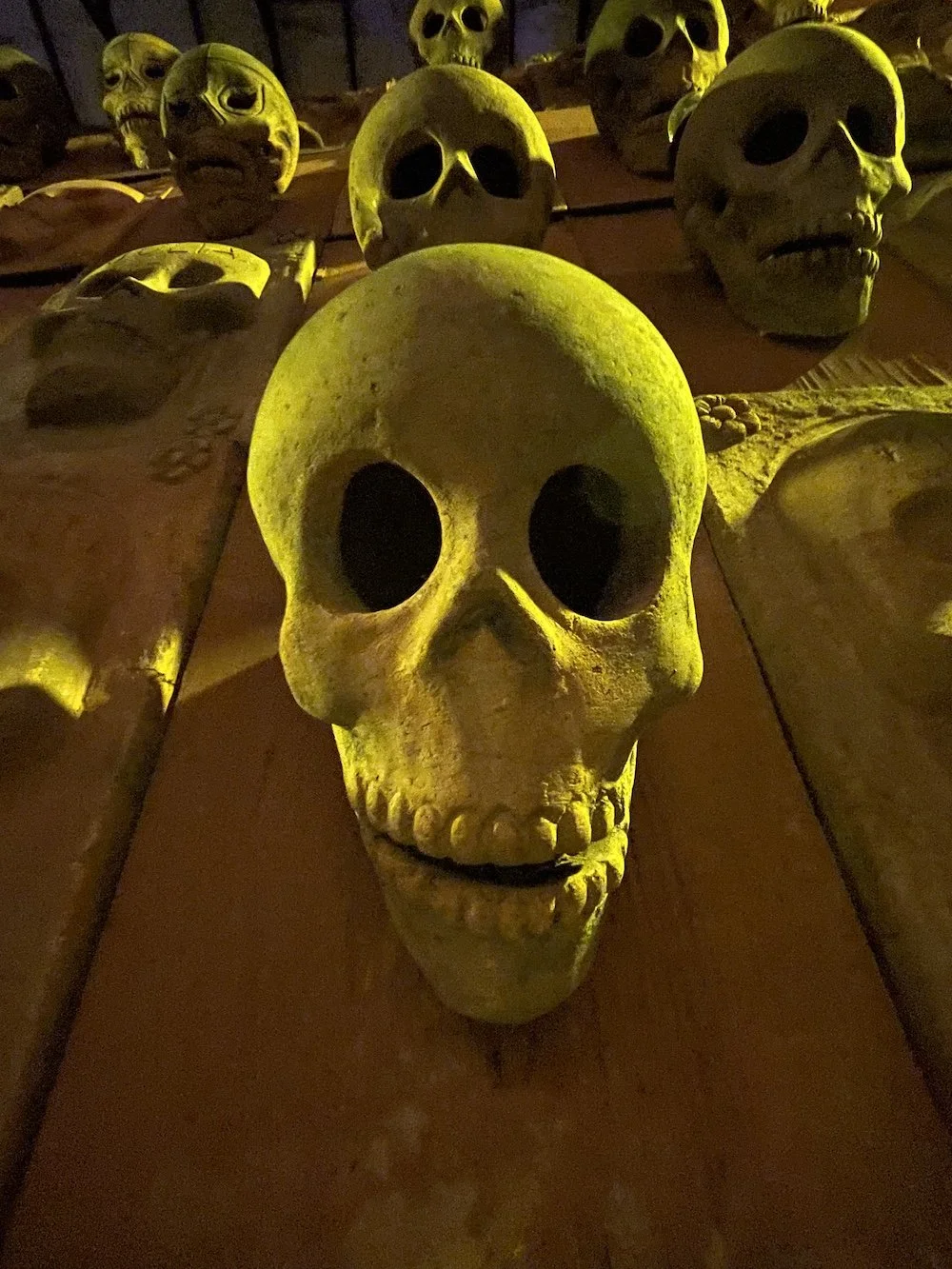 Dia de los Muertos_IMG_0284.jpeg