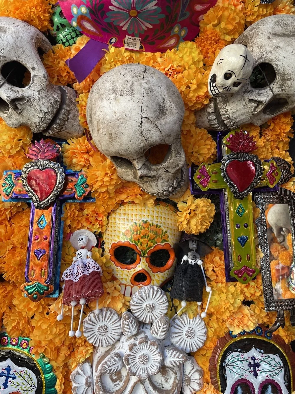 Dia de los Muertos_IMG_4087.jpeg