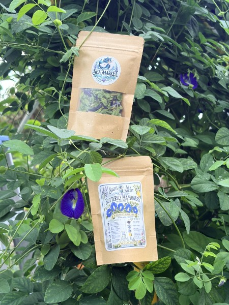 Sassy's Butterfly Pea Garden