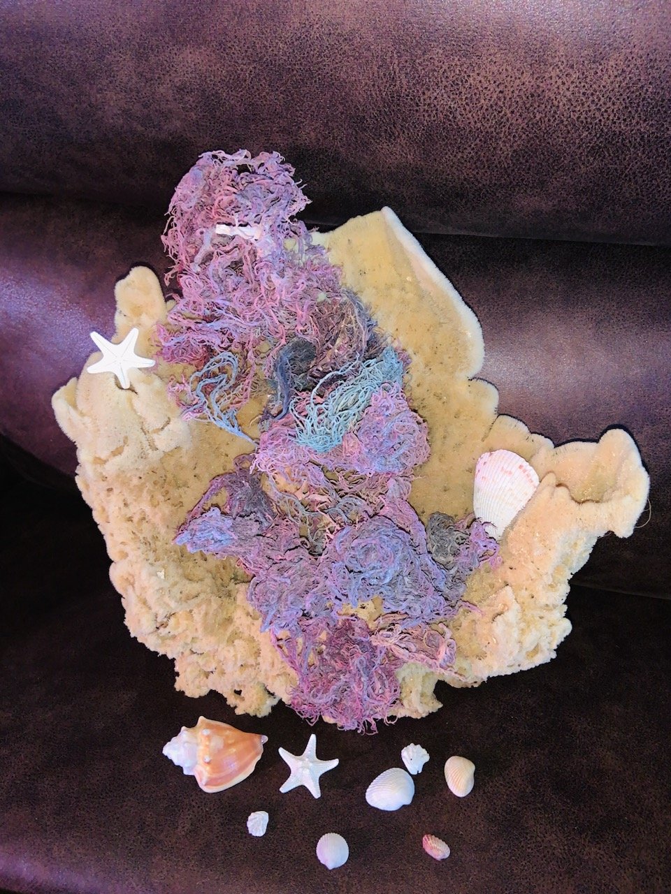 Full Spectrum Raw Dried St. Lucian Sea Moss