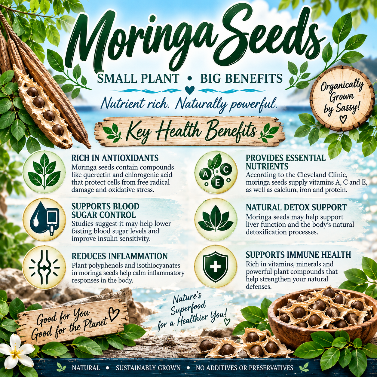 Moringa Seed sign 2.png