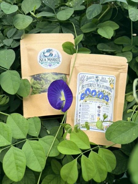 Butterfly Pea flower Garden