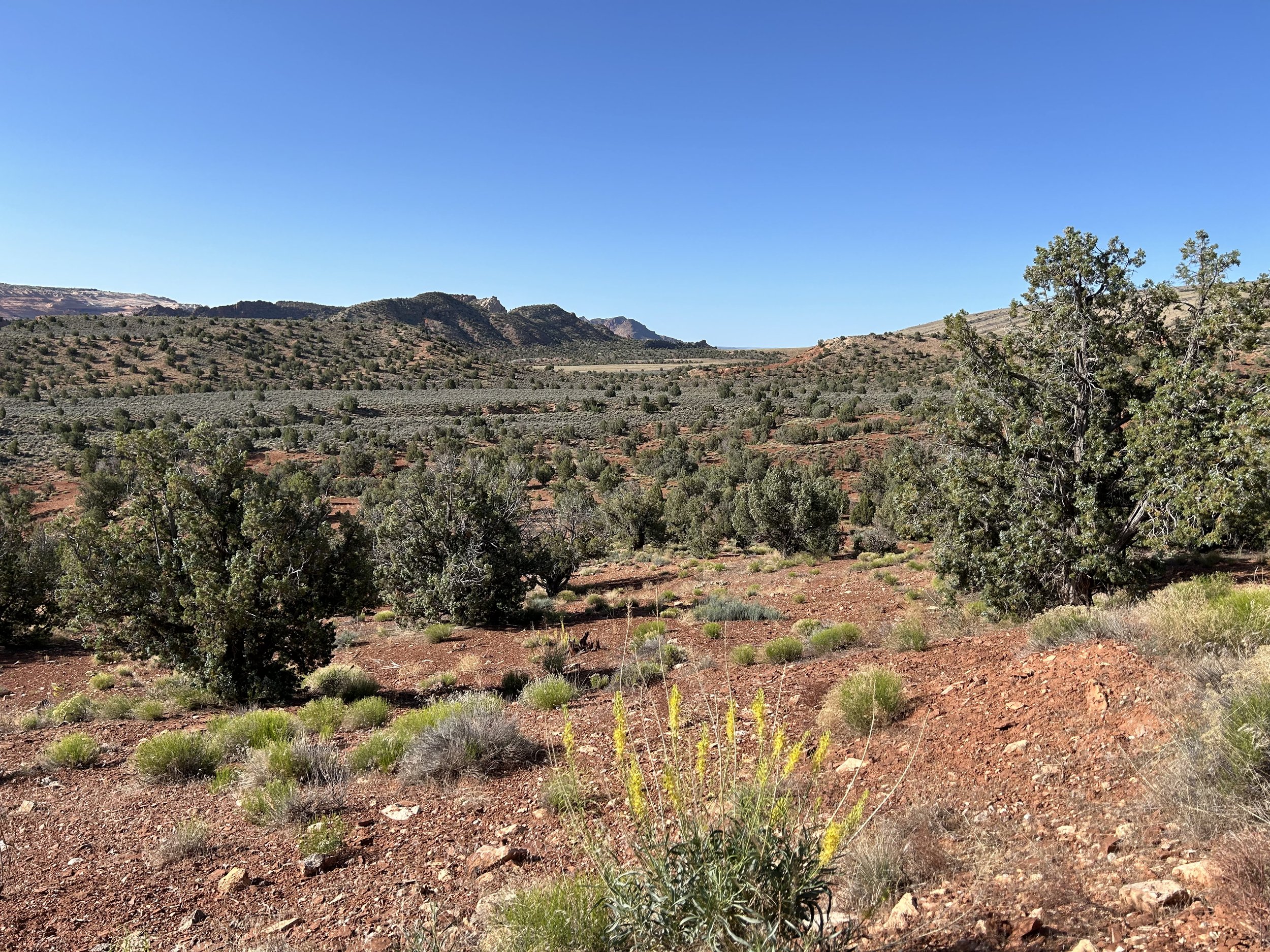 North Rim Capes of the Canyon - Day 2 - Buckskin Mountains along Winter Road