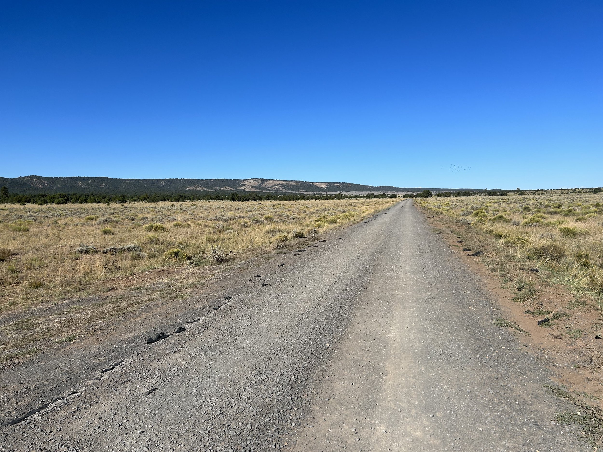 10:9:23_5155.jpg