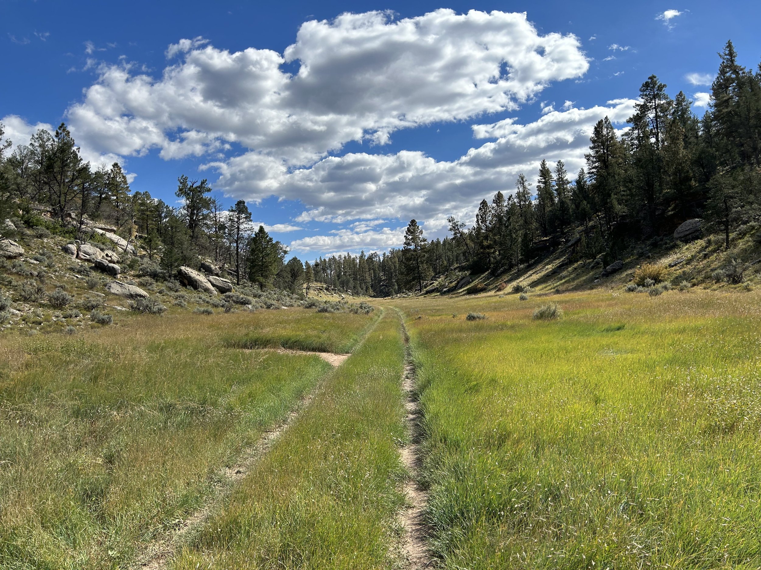 South Rim Capes of the Canyon - Day 4 - Green Meadows of Coconino Wash