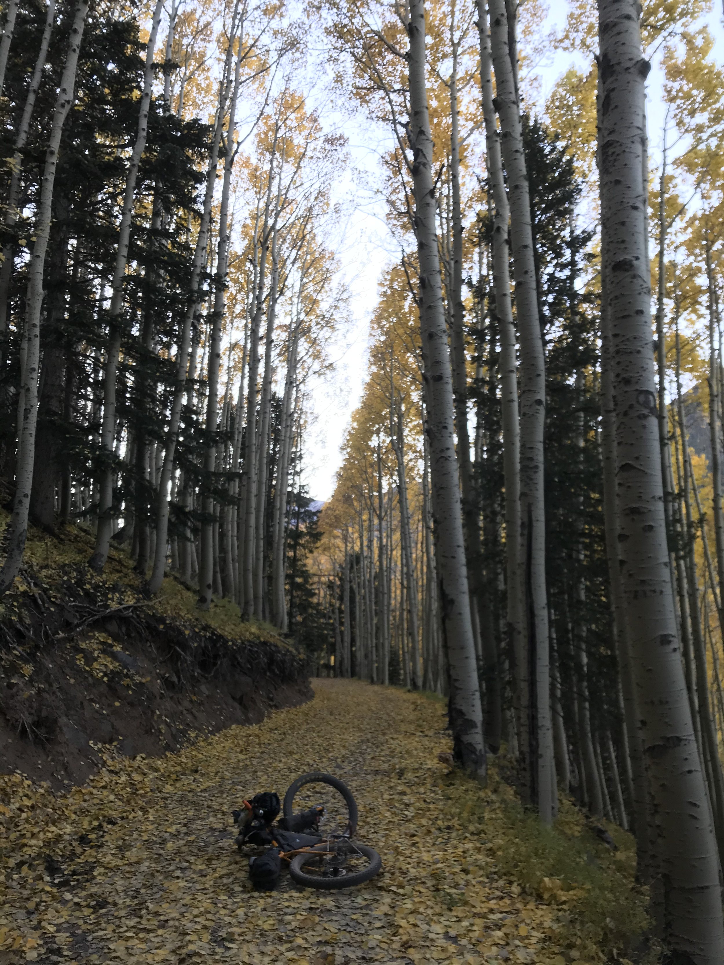 10:11:19_1129.jpg