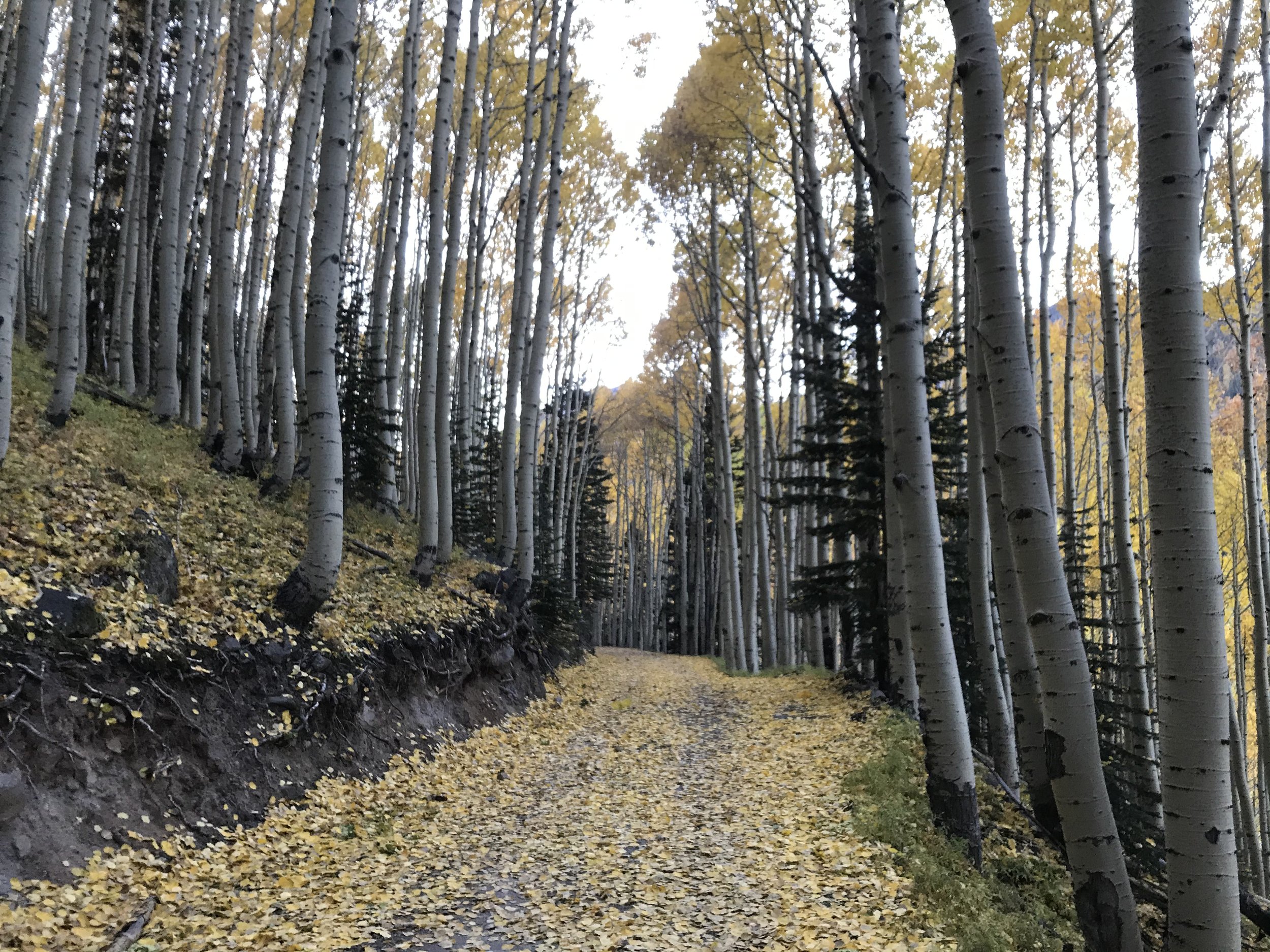 10:11:19_1136.jpg