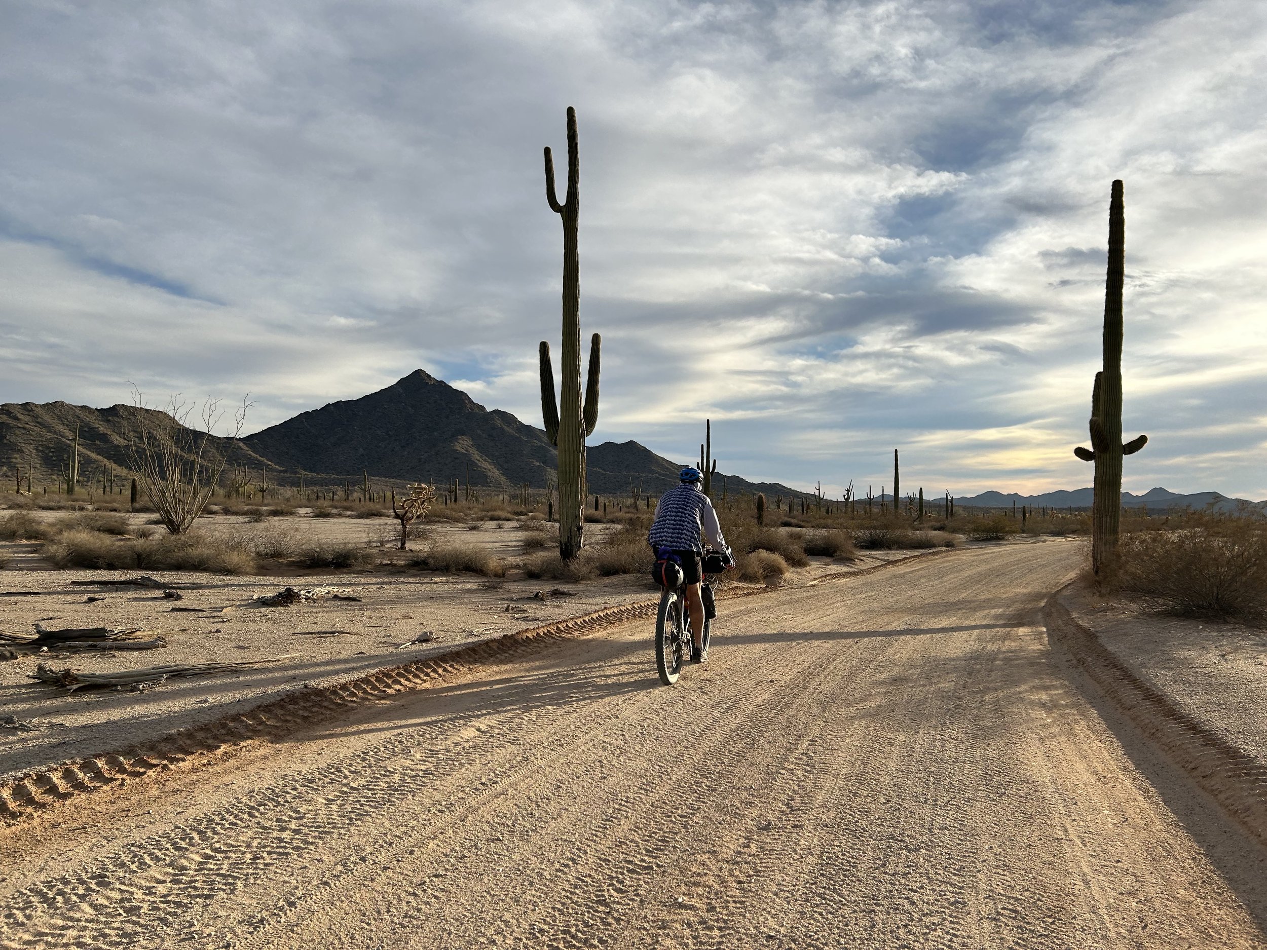 El Camino del Diablo - Day 1 - Organ Pipe Cactus National Monument and Papago Well