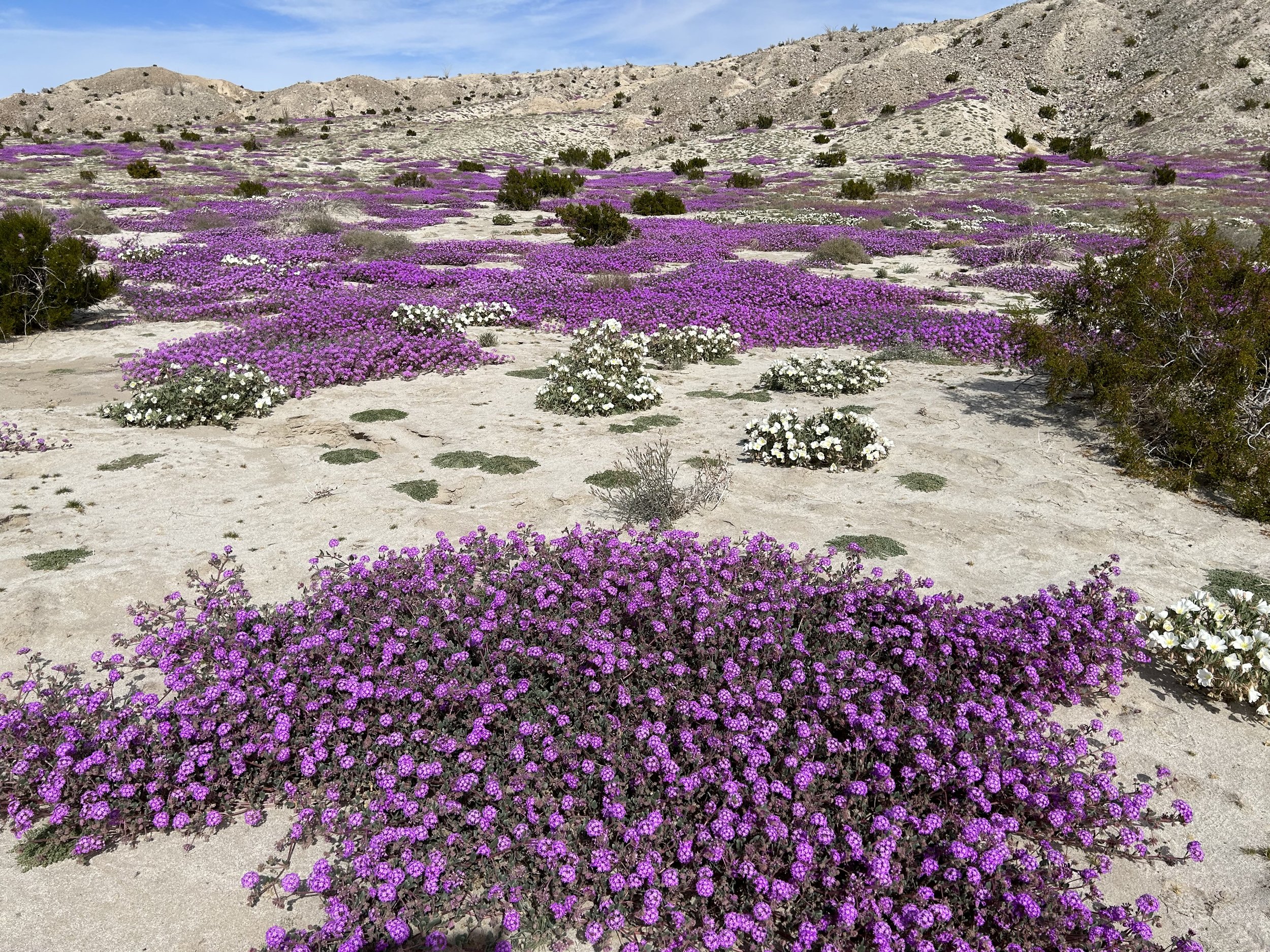 2:18:23_5182.jpg