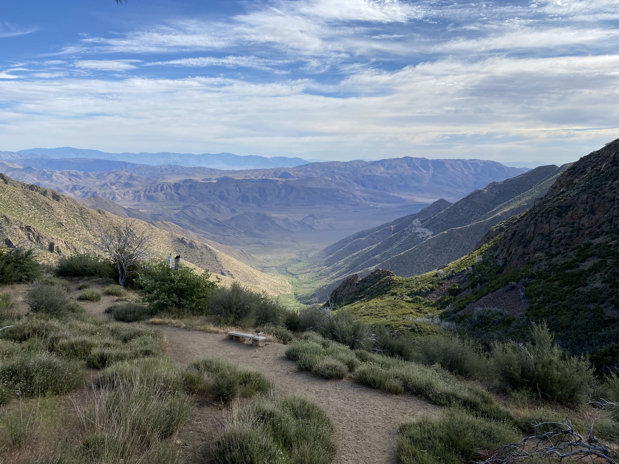 6:7:21_7444.jpg