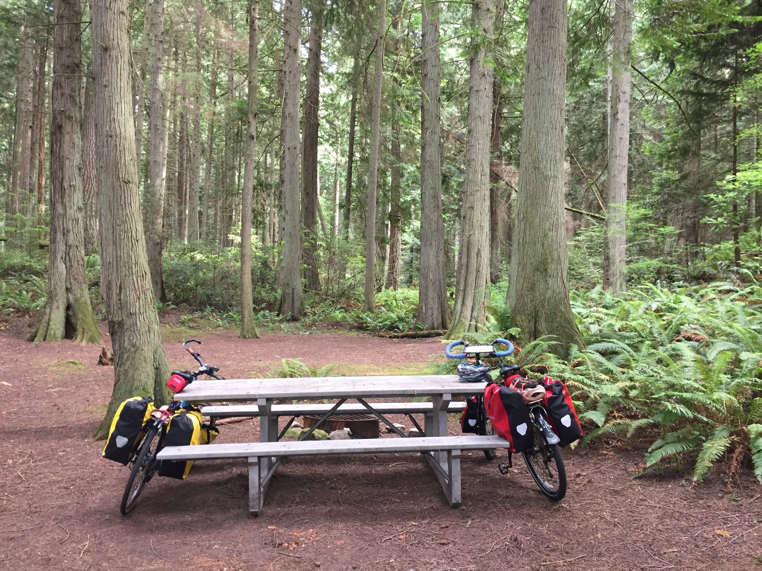 Olympic Peninsula - Day 2 - To Old Fort Townsend State Park, WA