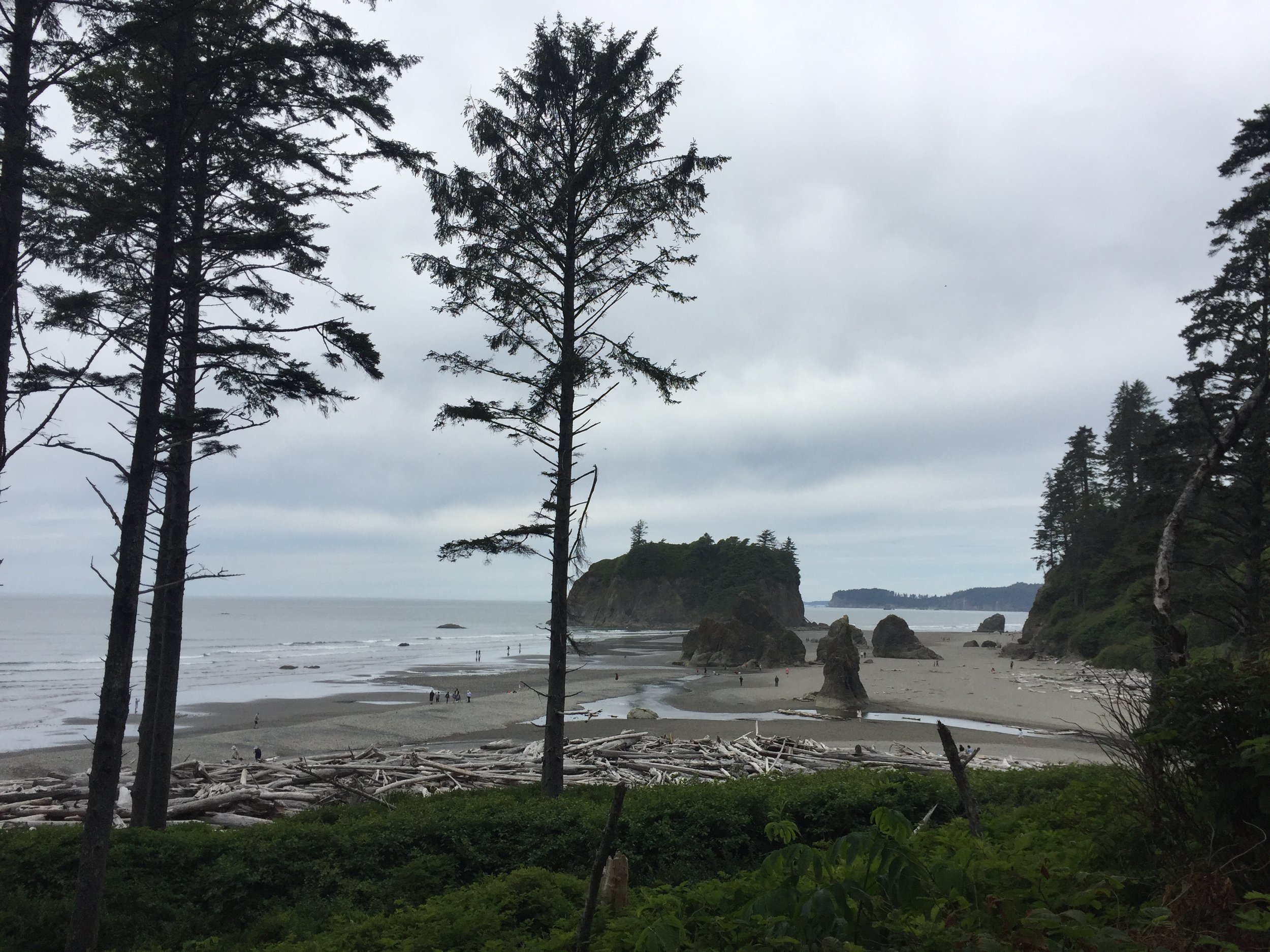 Olympic Peninsula - Day 9 - To Kalaloch Beach/Campground in Olympic National Park, WA