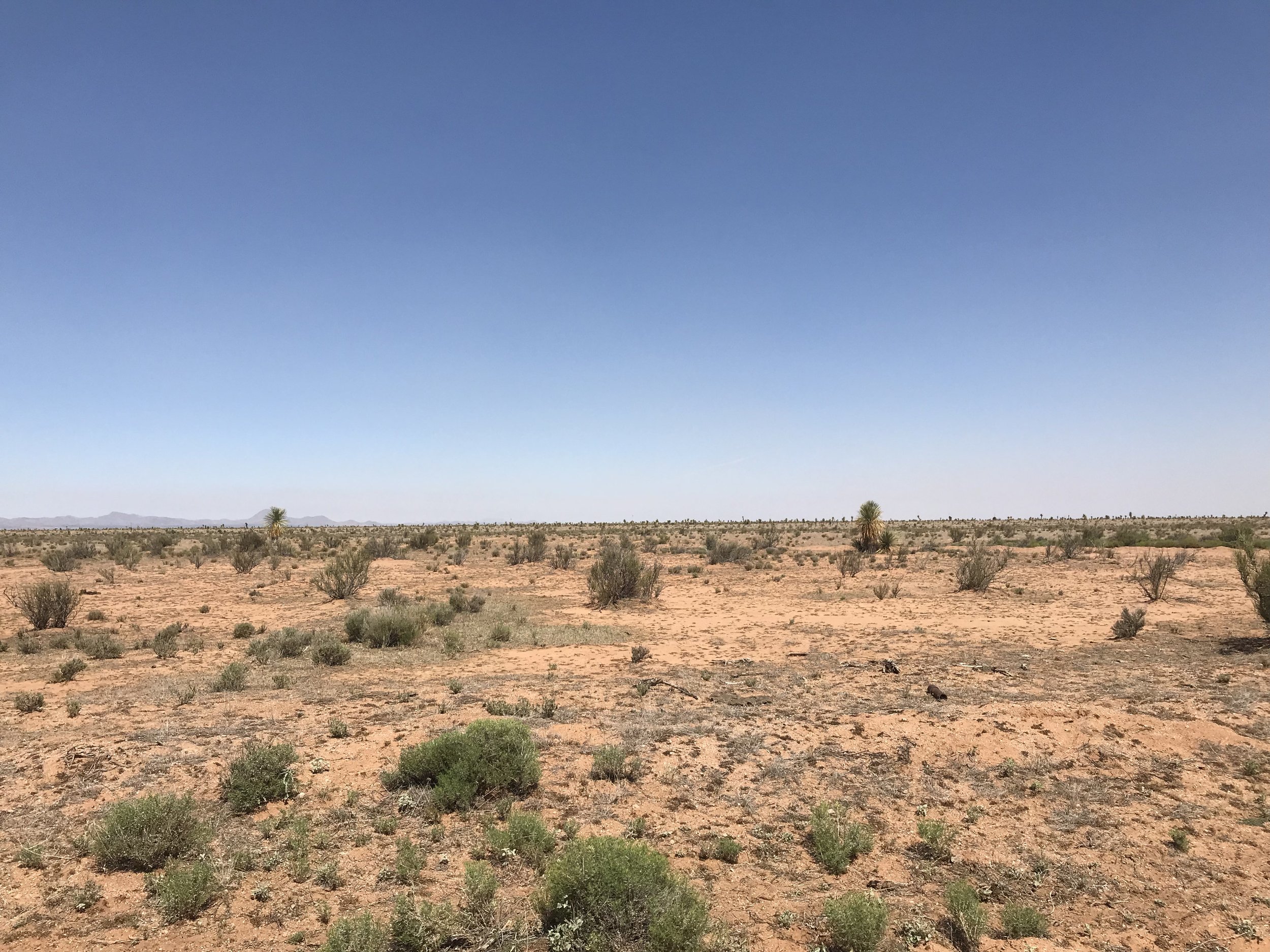 6:16:19_9814.jpg